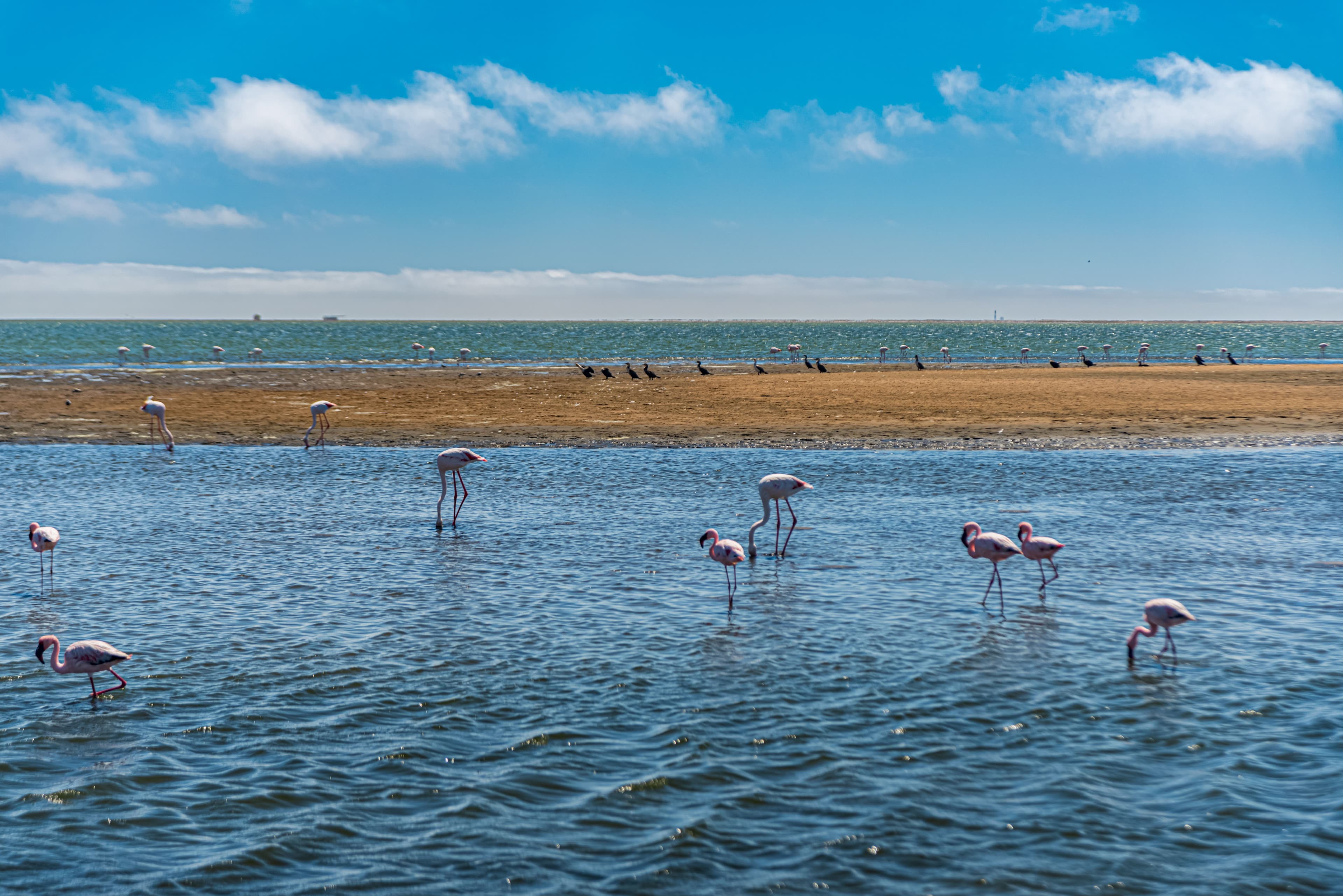 Lake Naivasha and Crescent Island