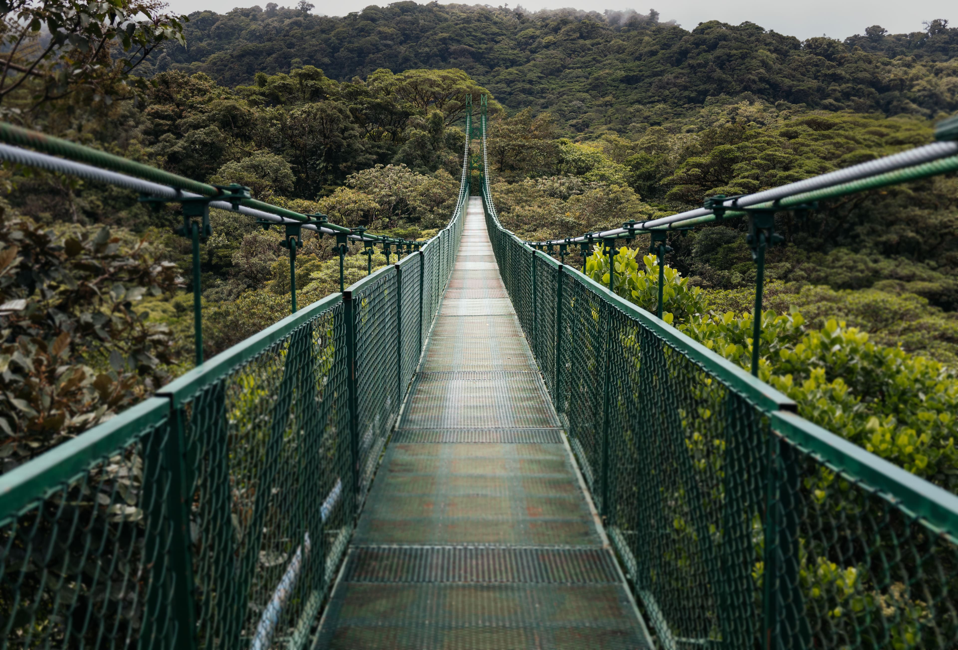Monteverde