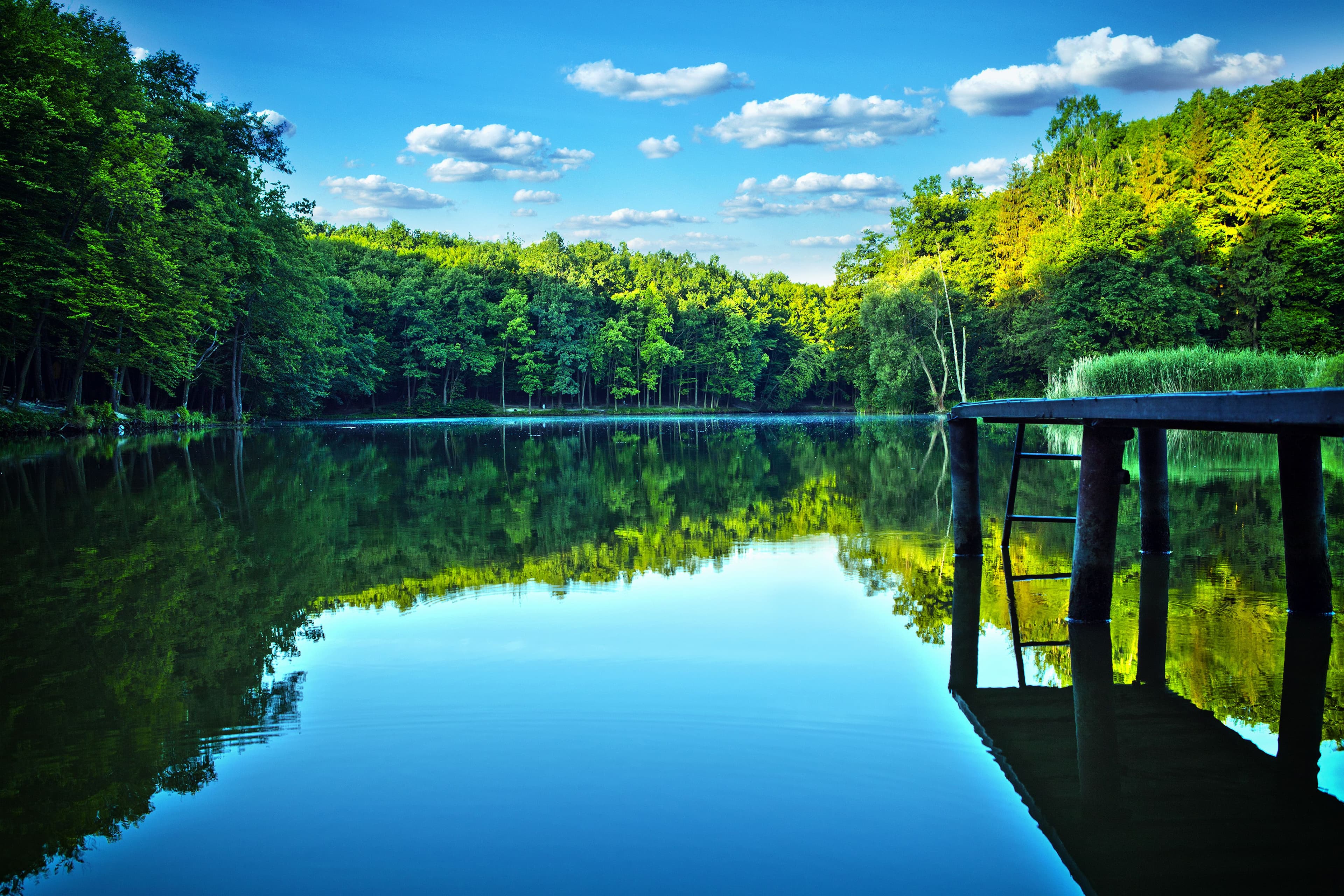 The Kinabatangan River