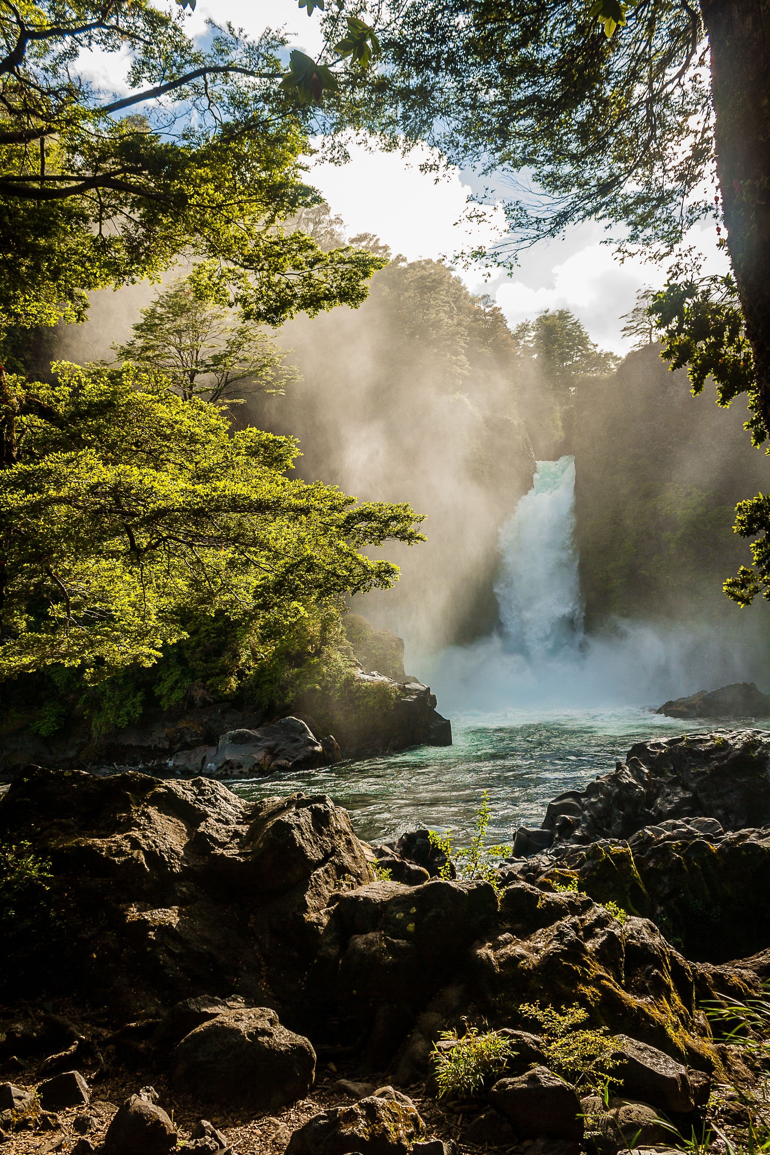 Volcanoes & Rainforest