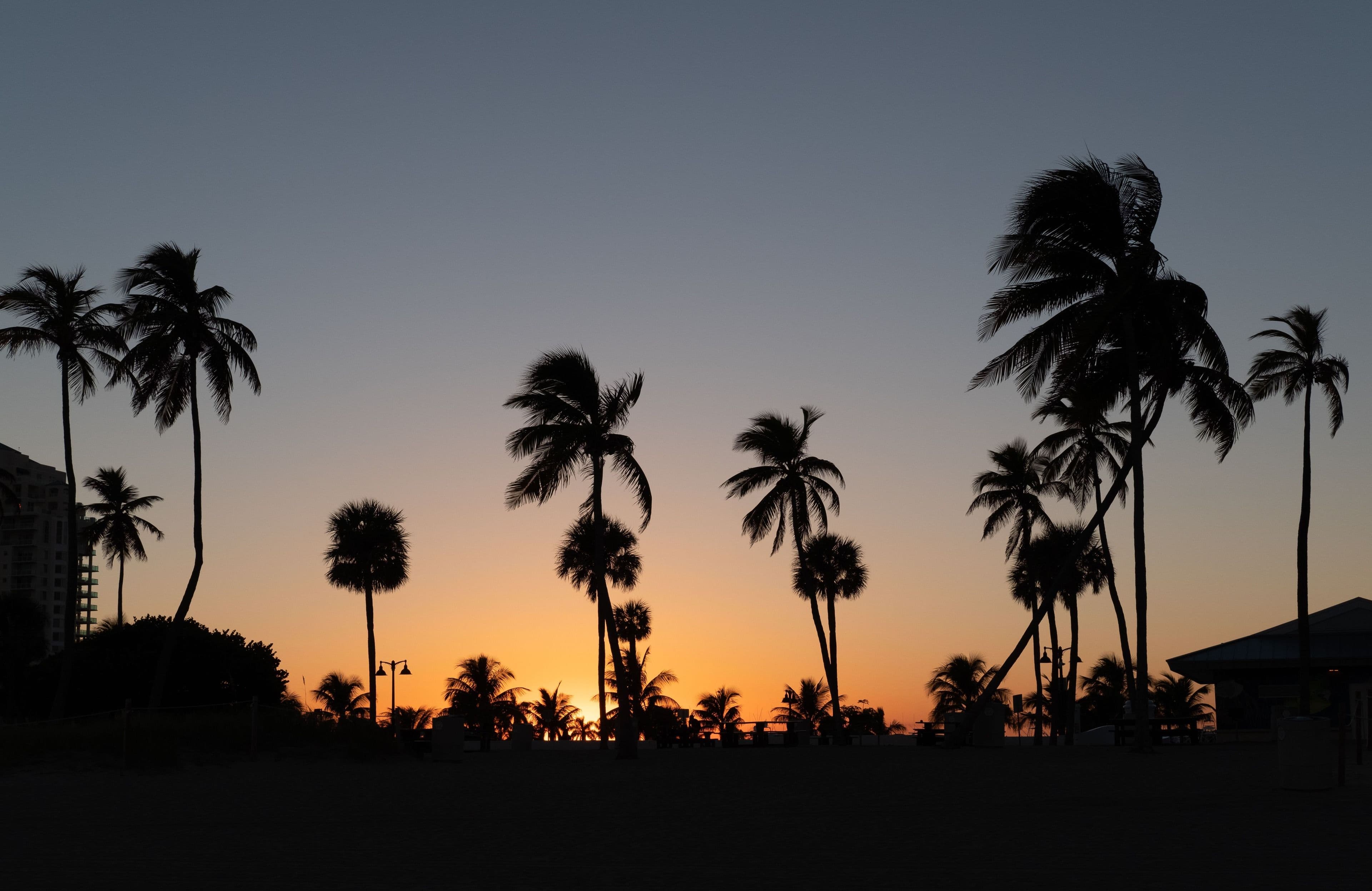 Palm silhouettes over the sea at sunset, Andaman