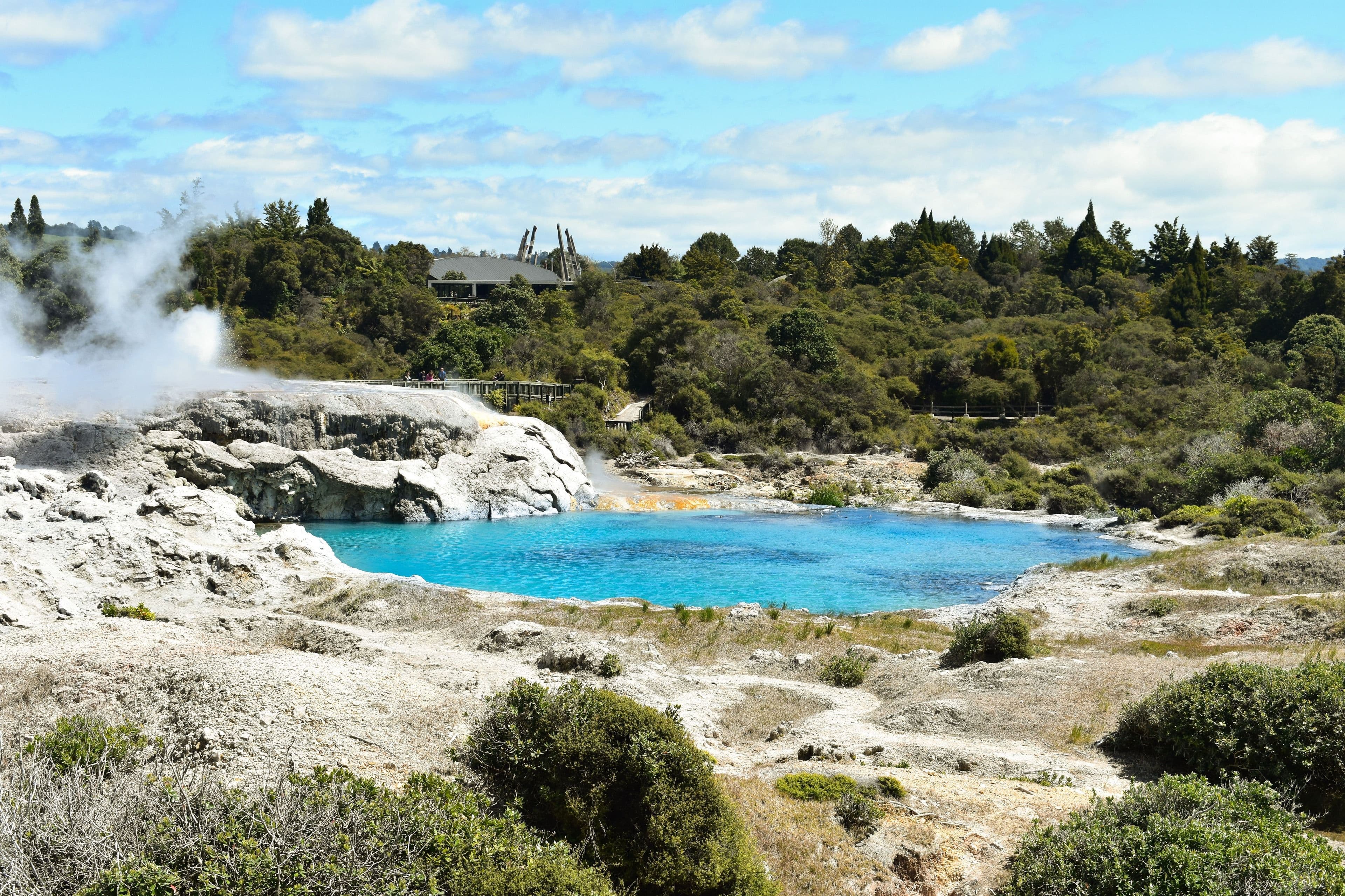 Geothermal pools at Rotorua