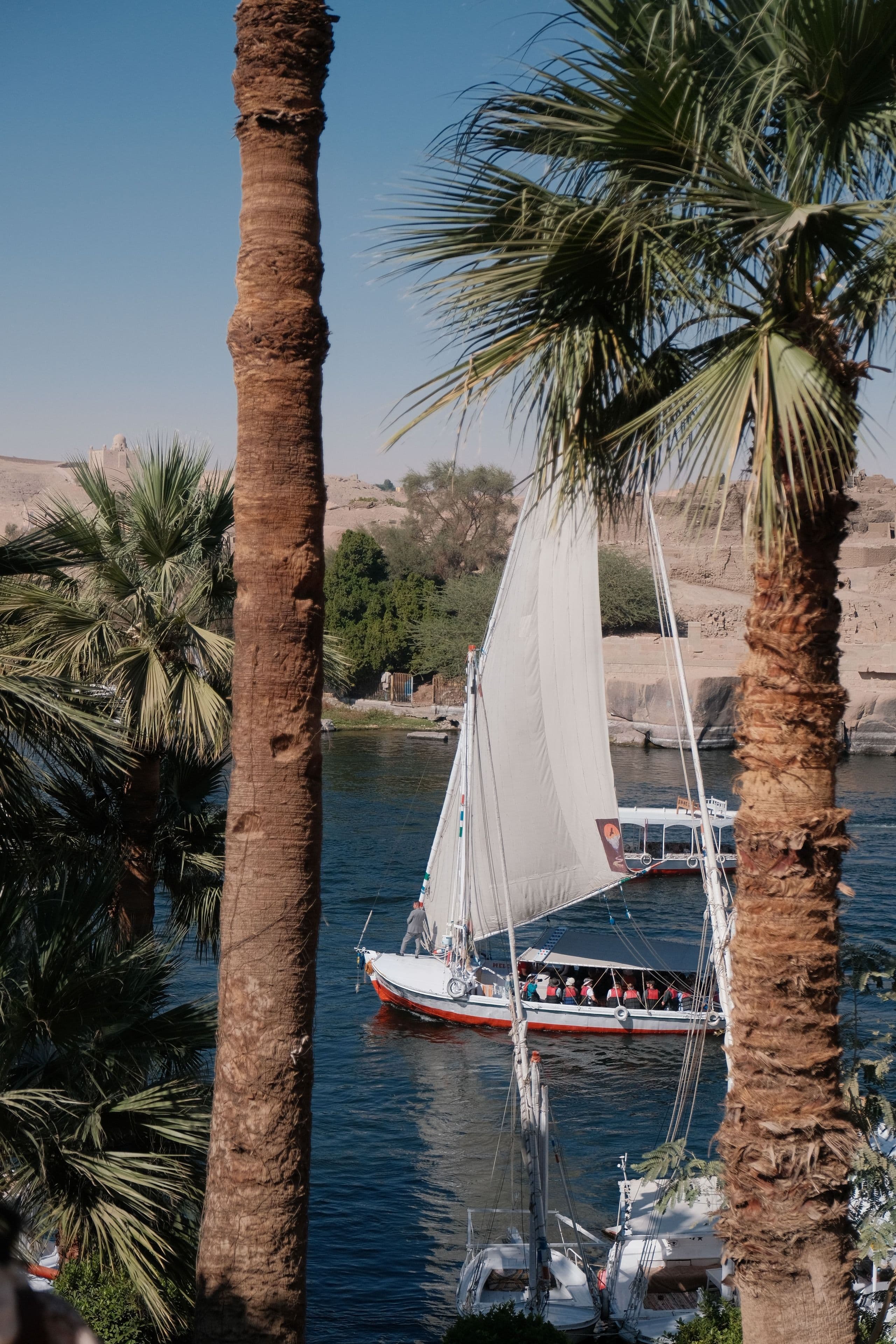 A felucca sailing on the Nile at Aswan
