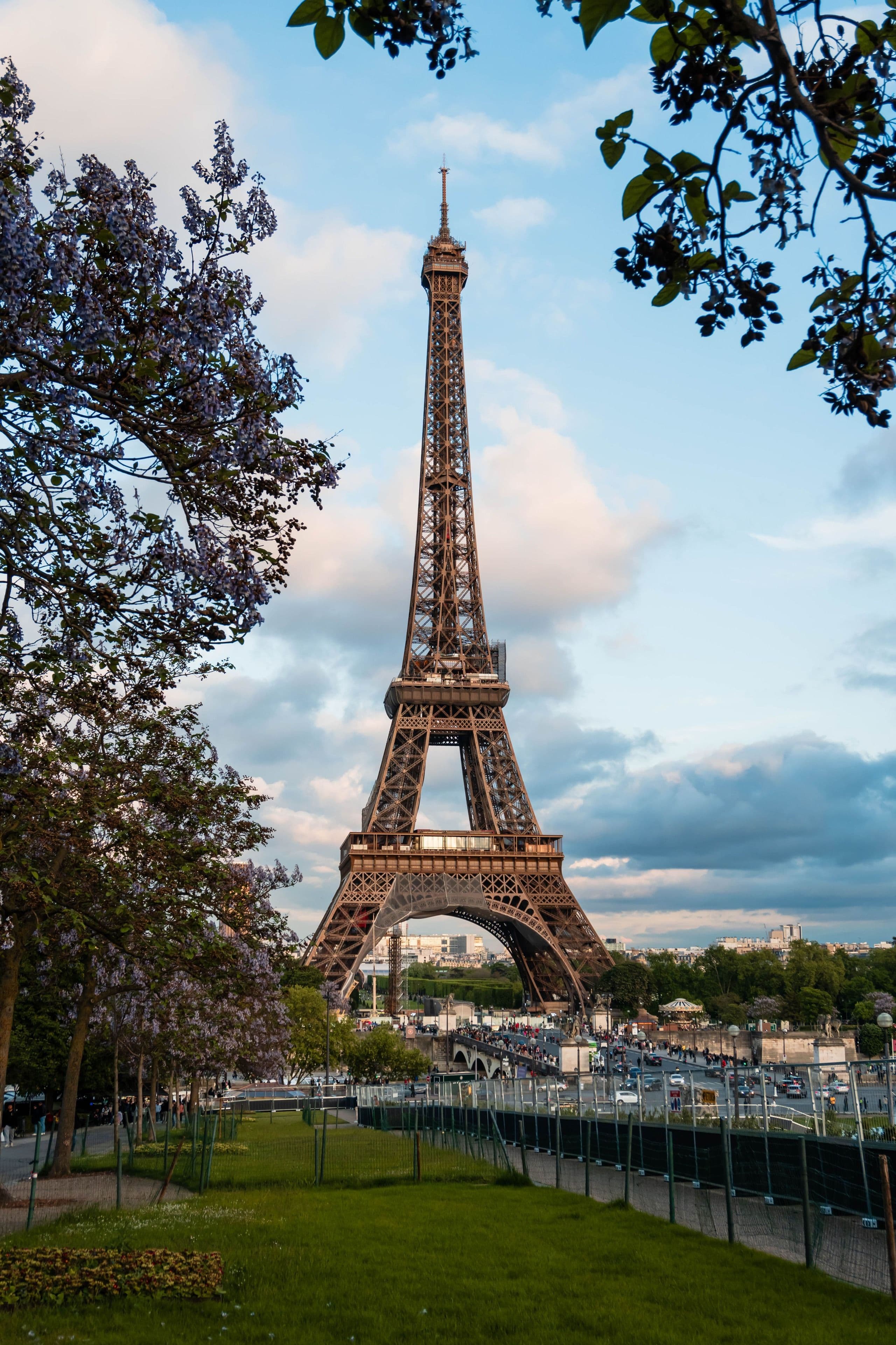 The Eiffel Tower framed by spring blossom, Paris