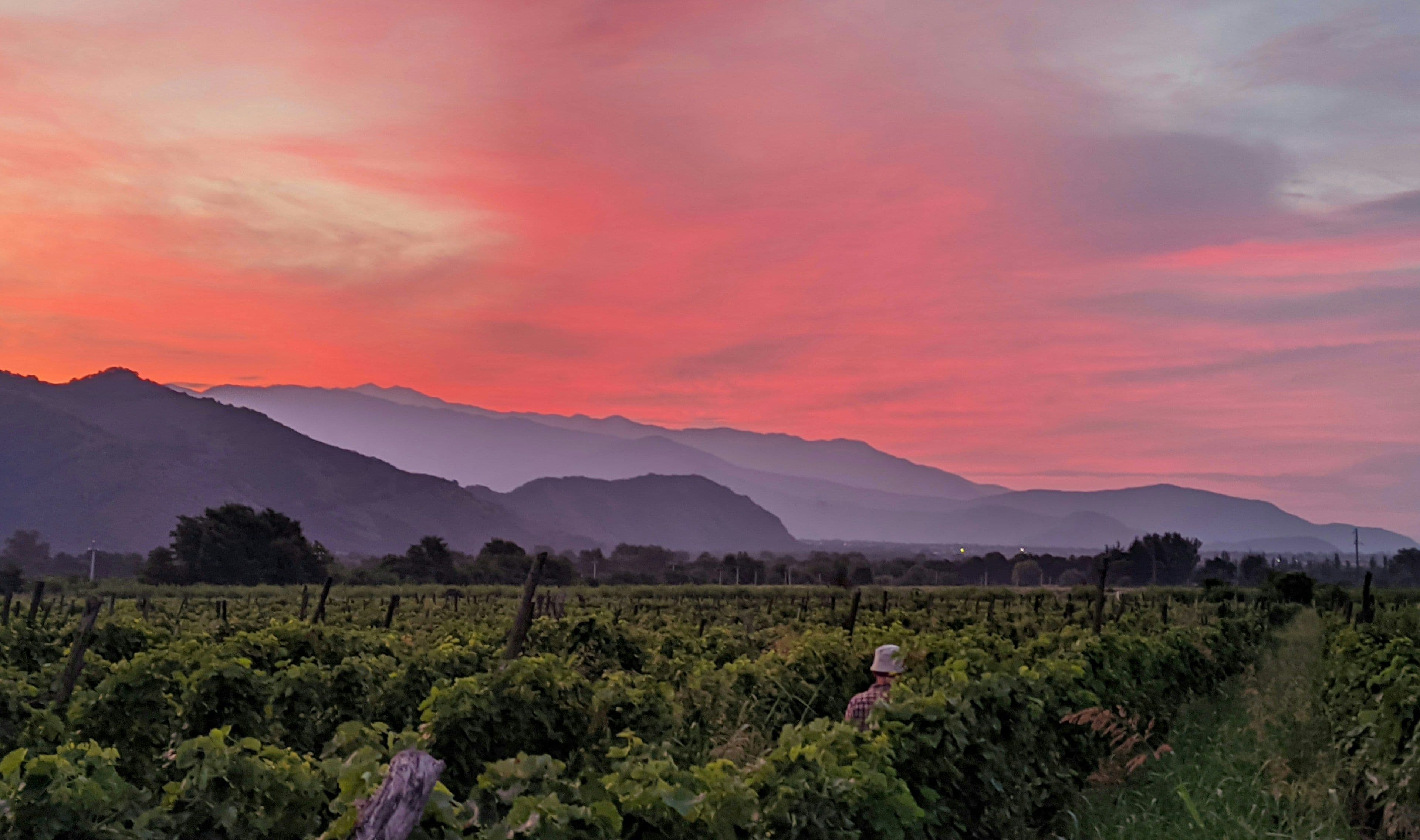 Kakheti and the Wine Country