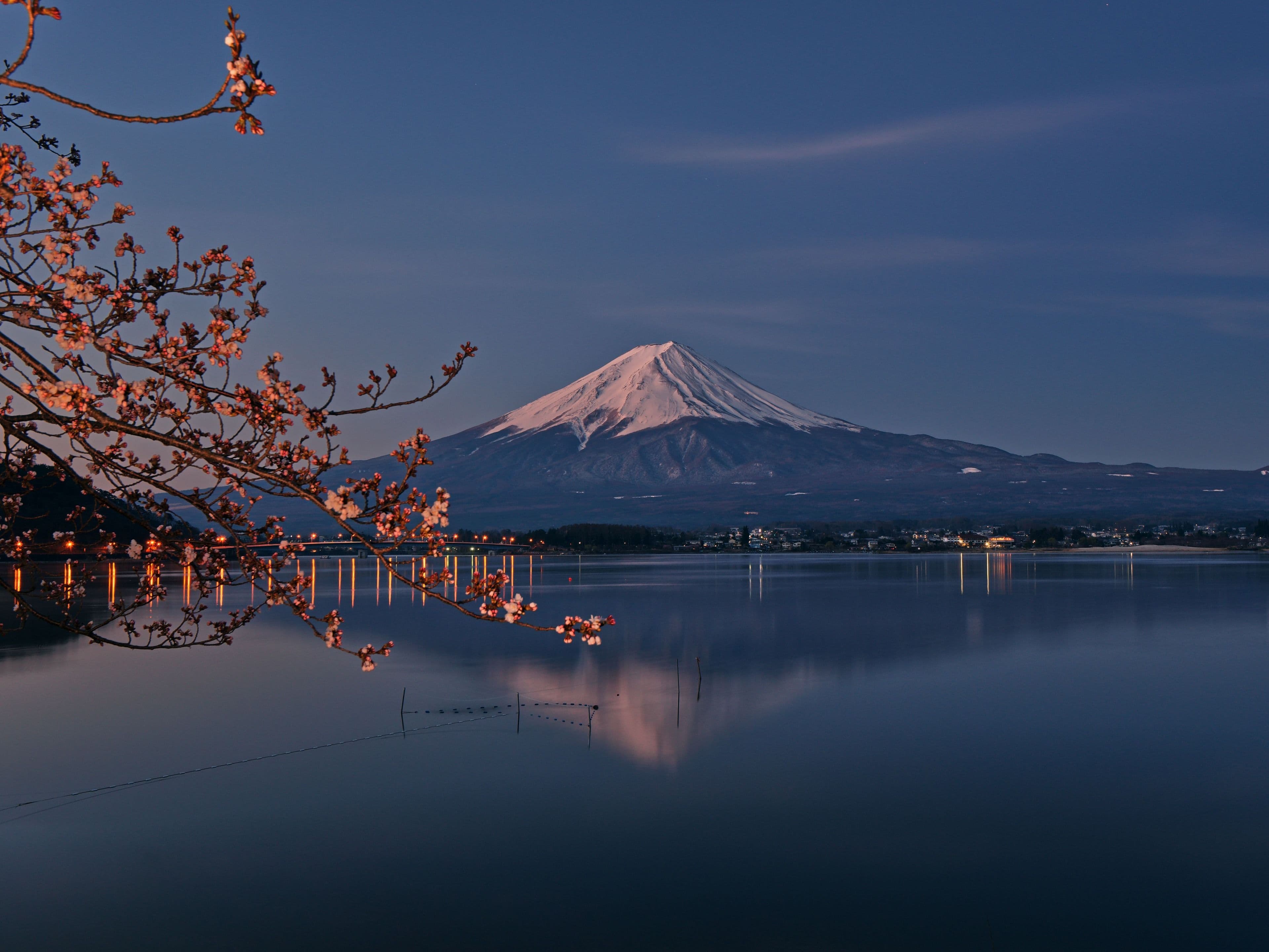Mount Fuji and cherry blossoms reflected in a lake