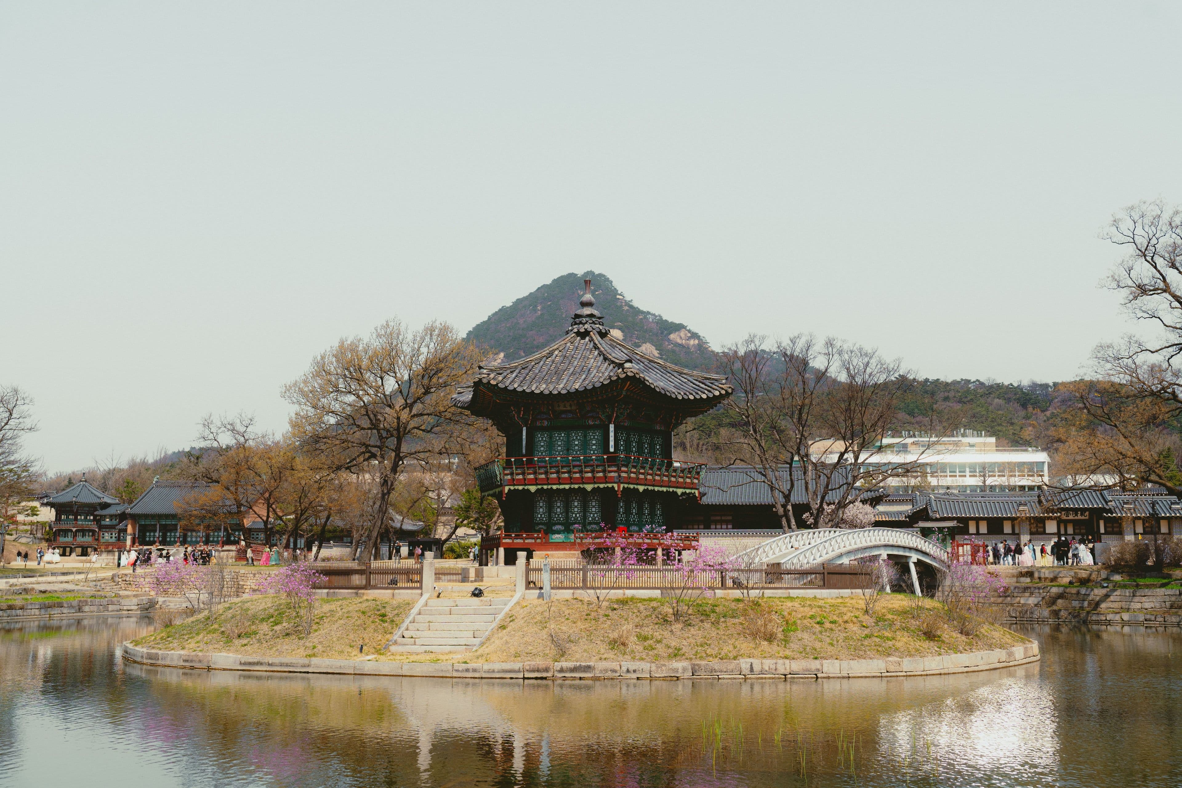 Gyeongbokgung Palace in spring bloom, Seoul