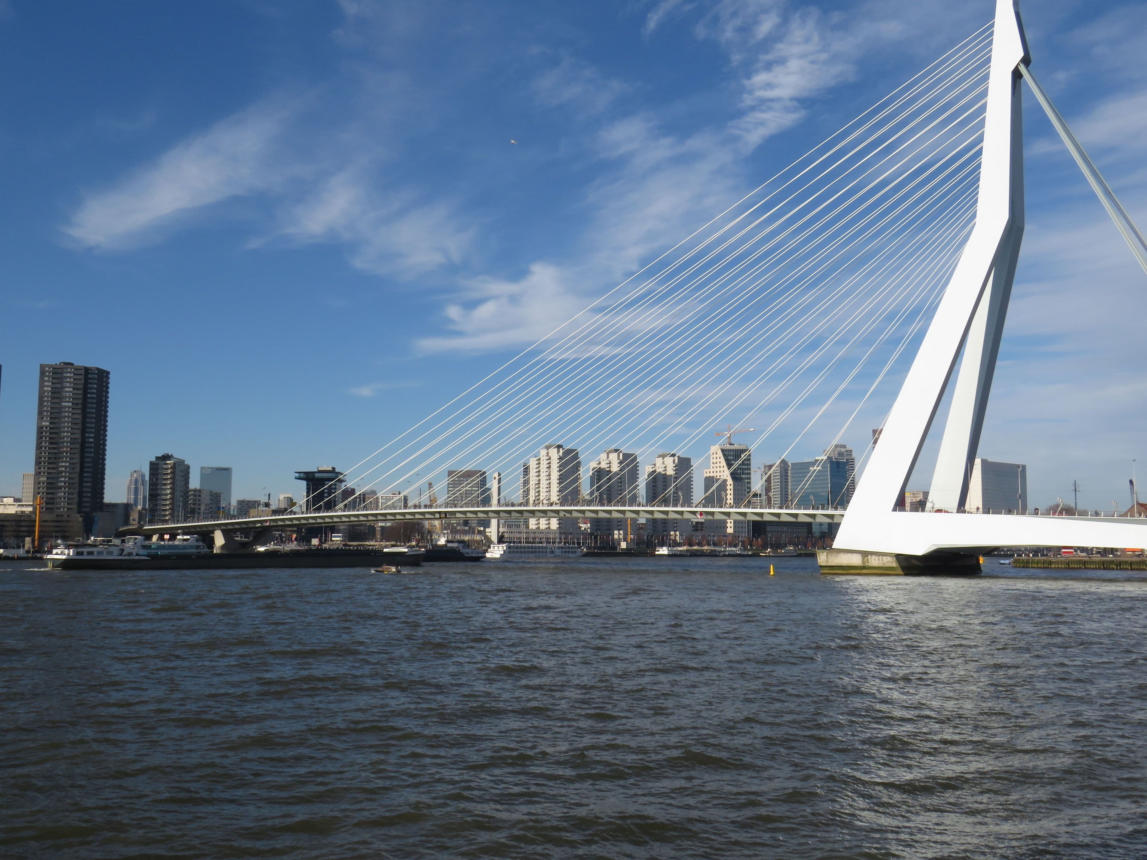 The Hague, Delft and Rotterdam
