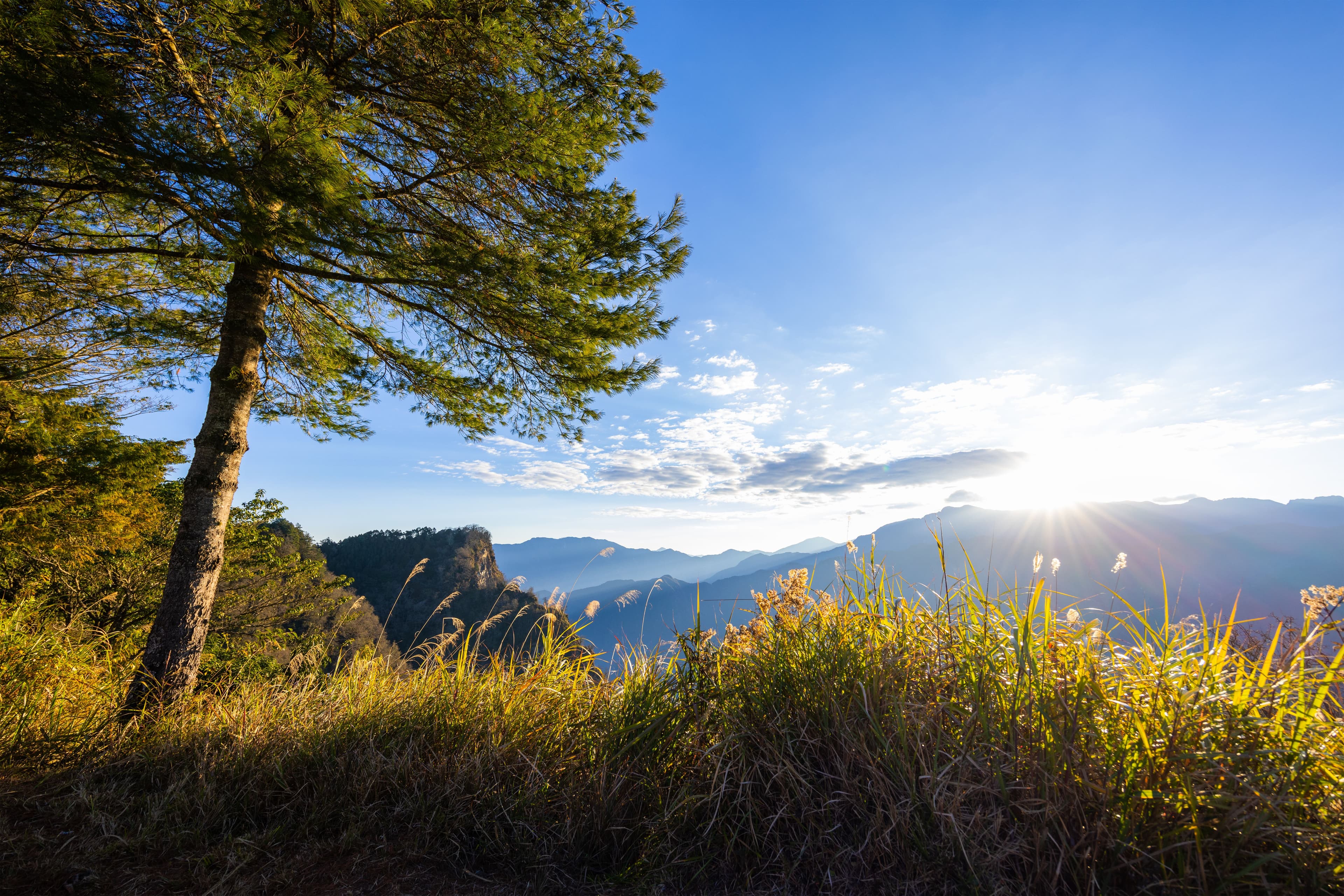 Alishan
