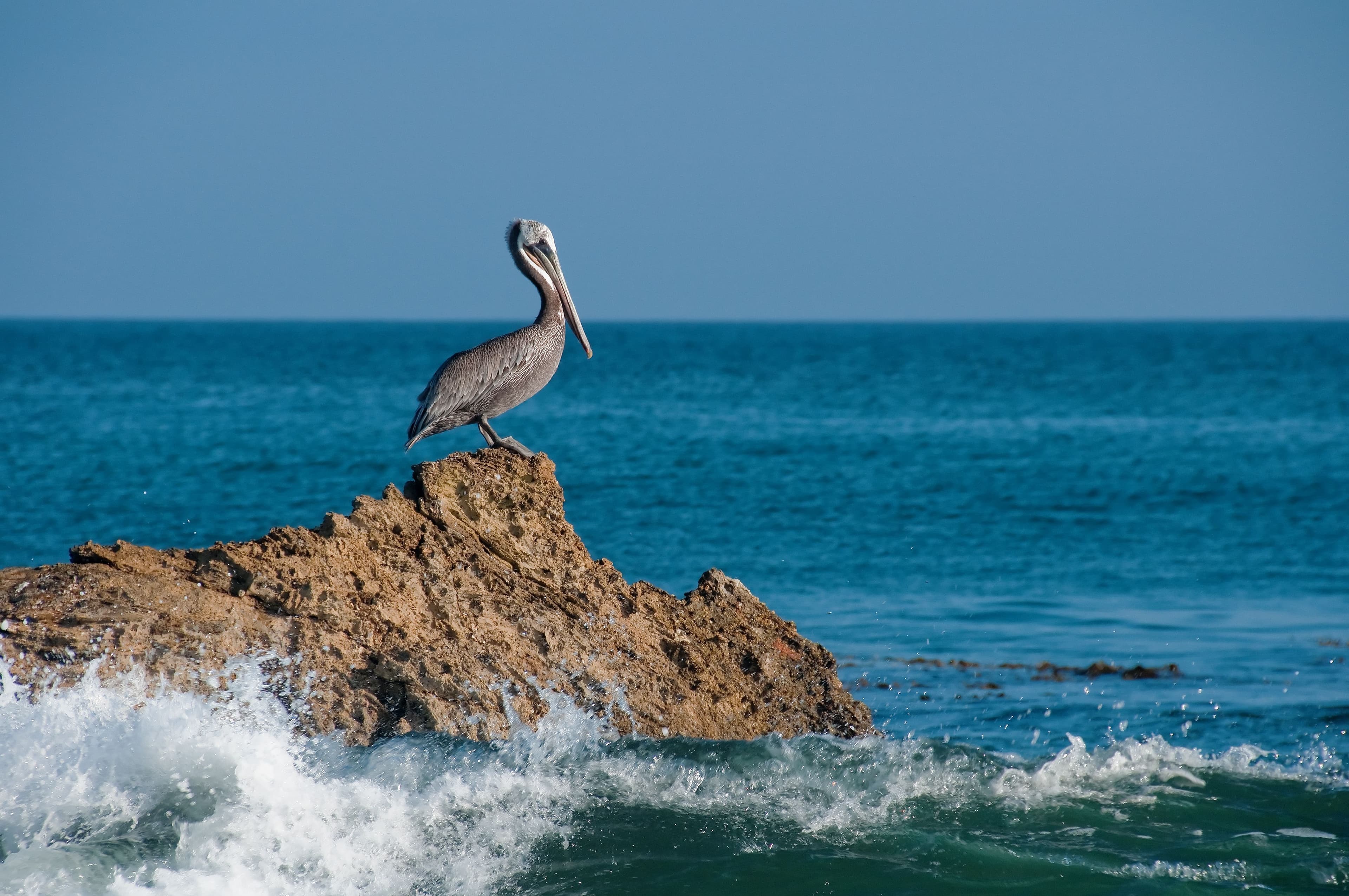 Ecuador & the Galapagos