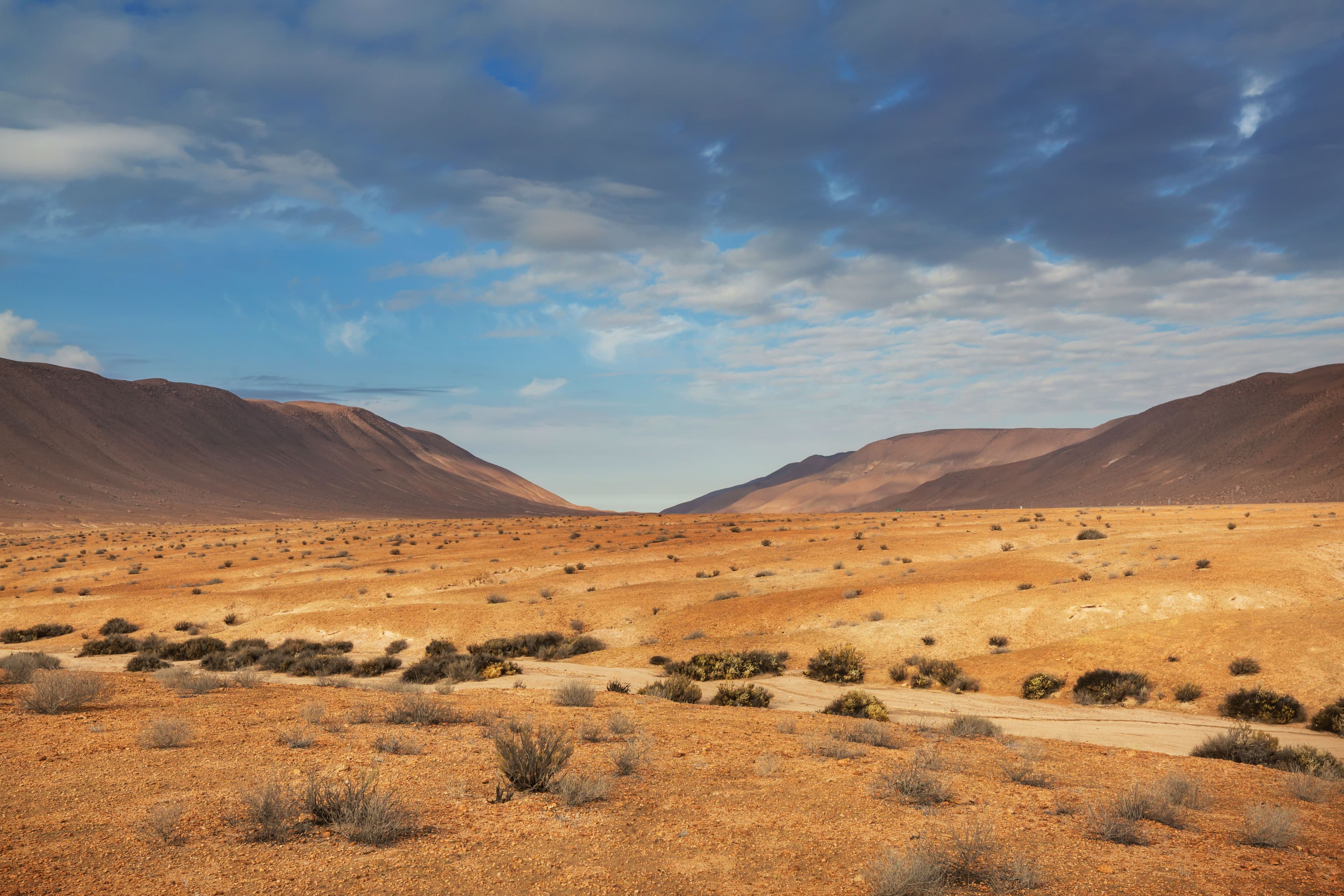 The Atacama Desert