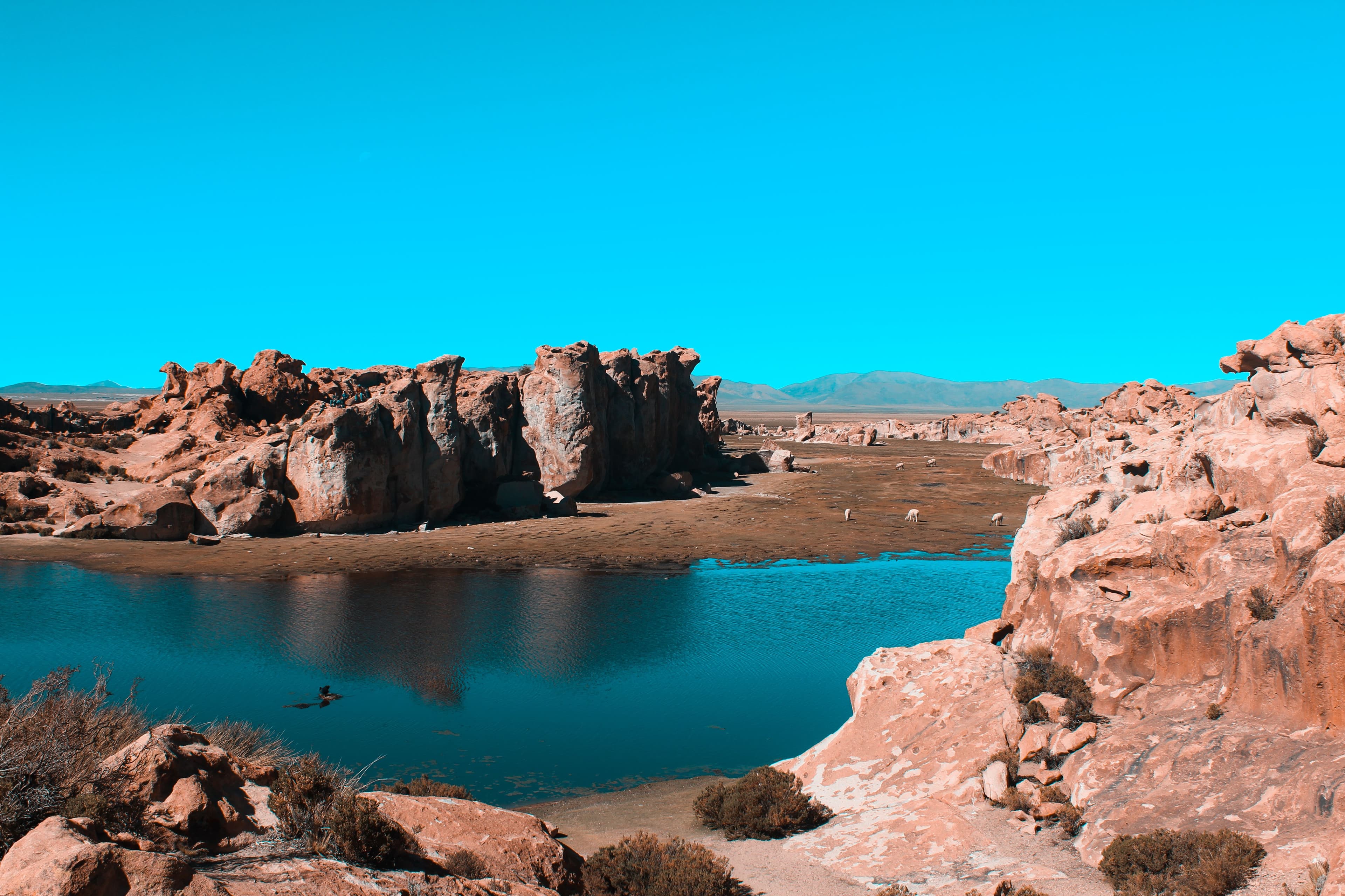 The Dead Sea and Masada