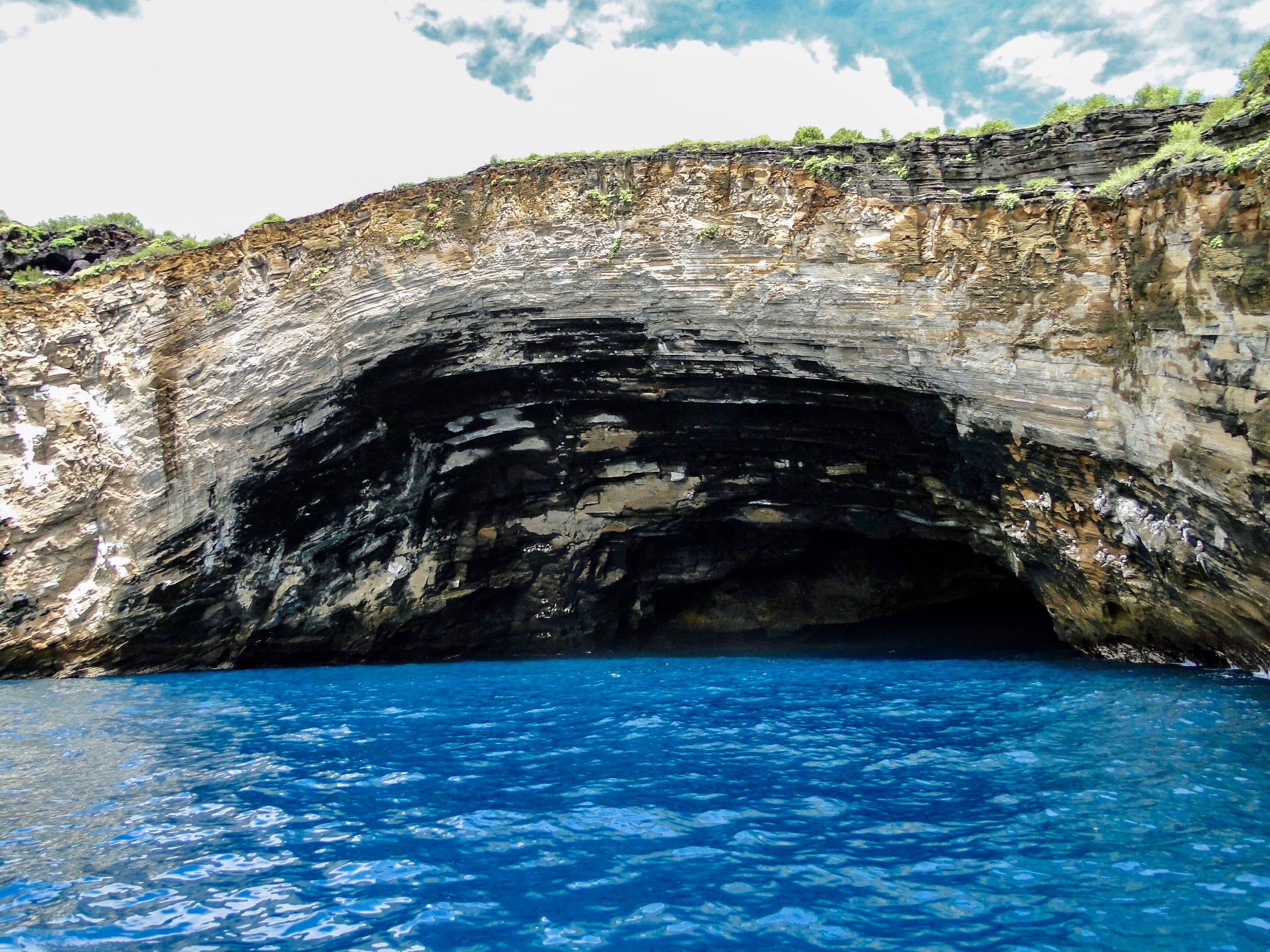 The Galapagos Islands