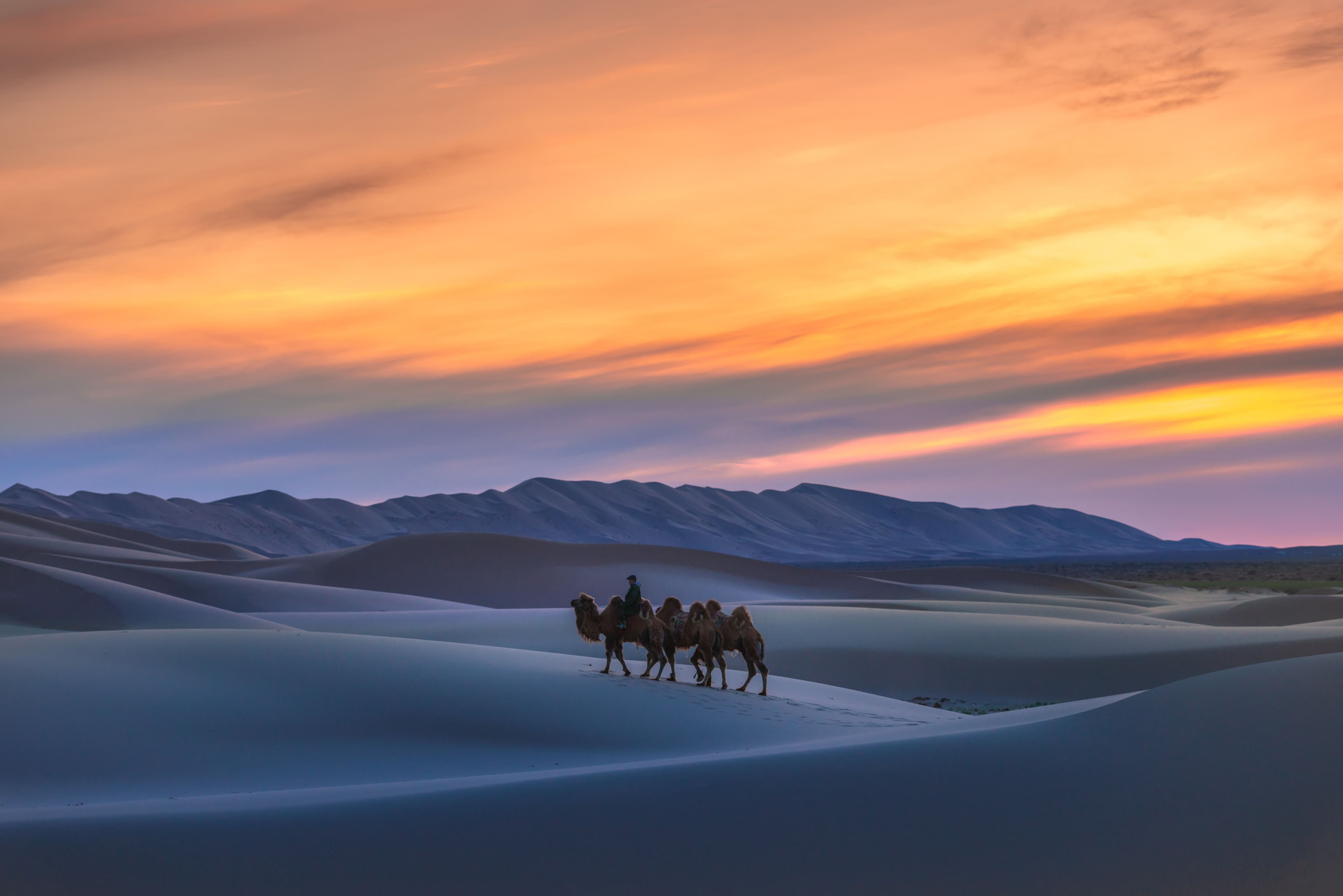 The Gobi Desert