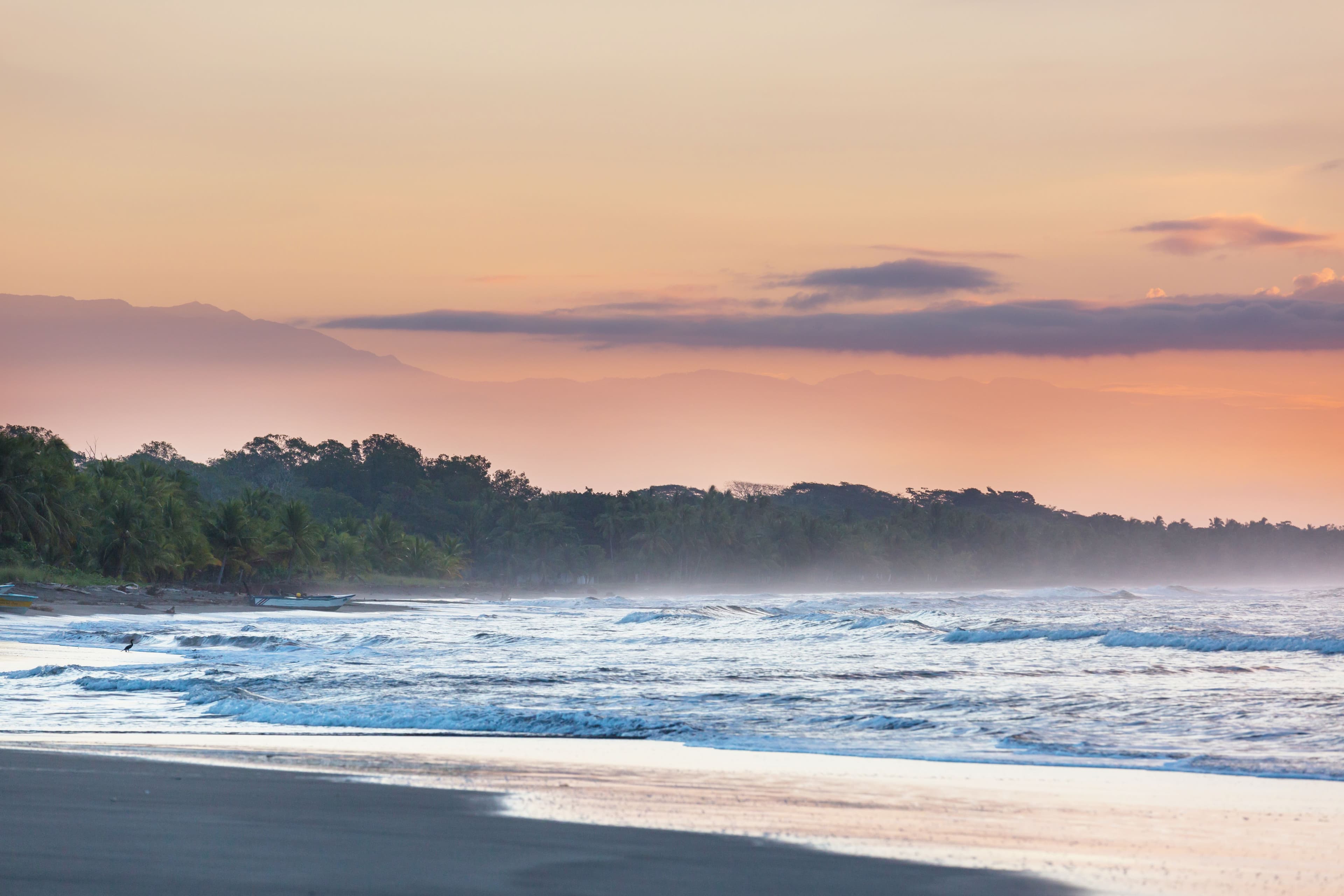 Tortuguero and the Caribbean