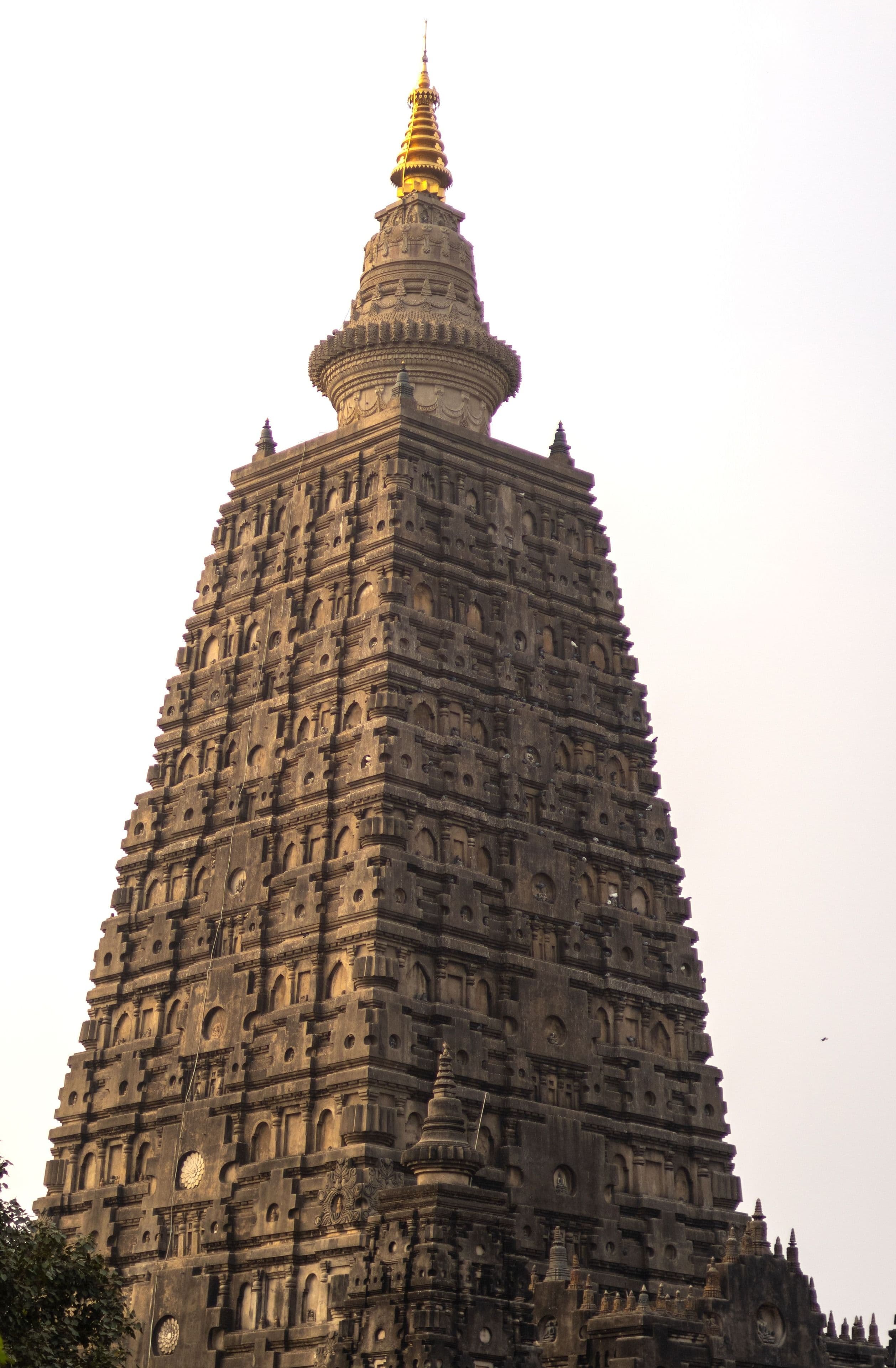 The Gaya Extension