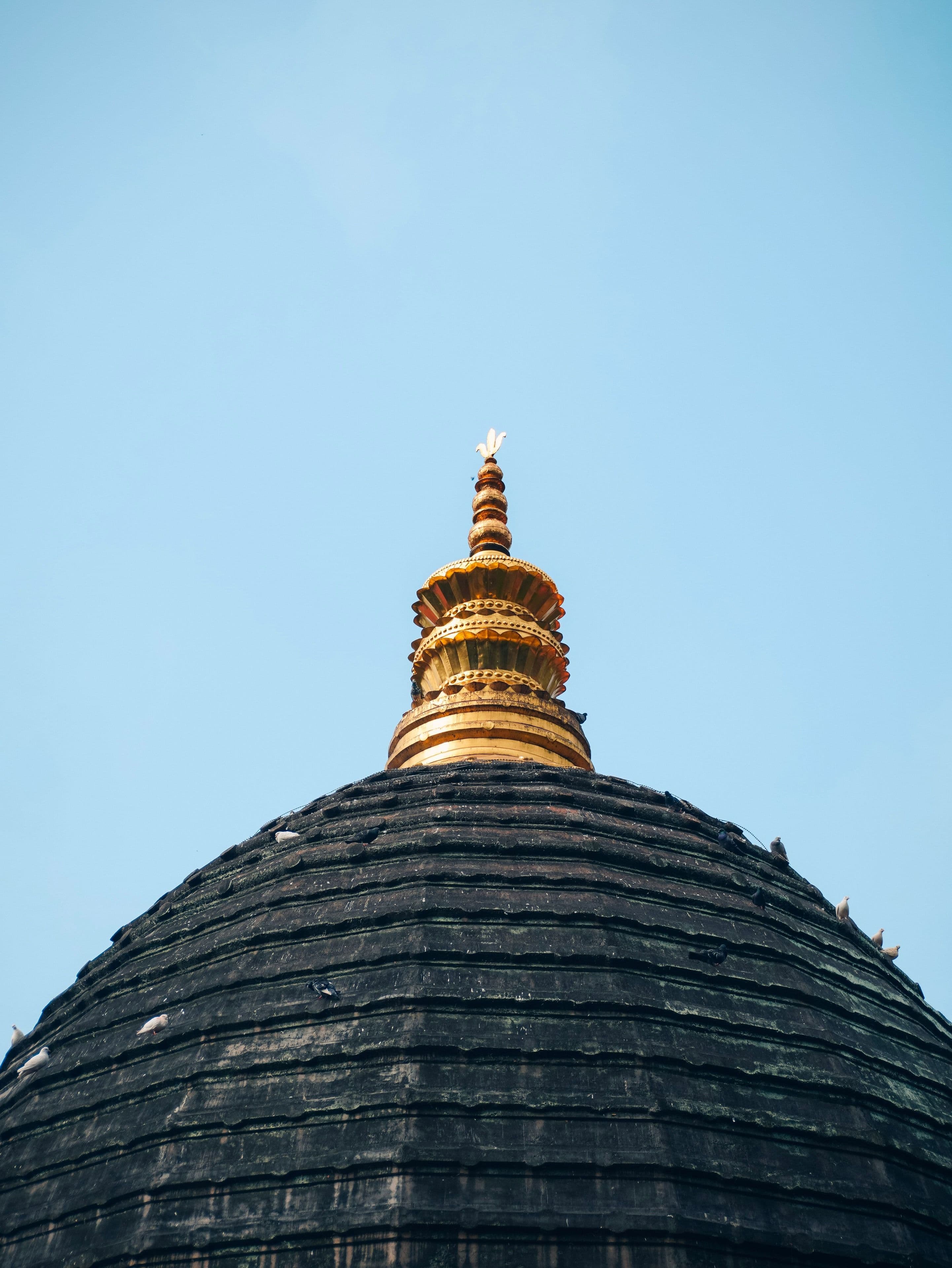 Assam Meghalaya
