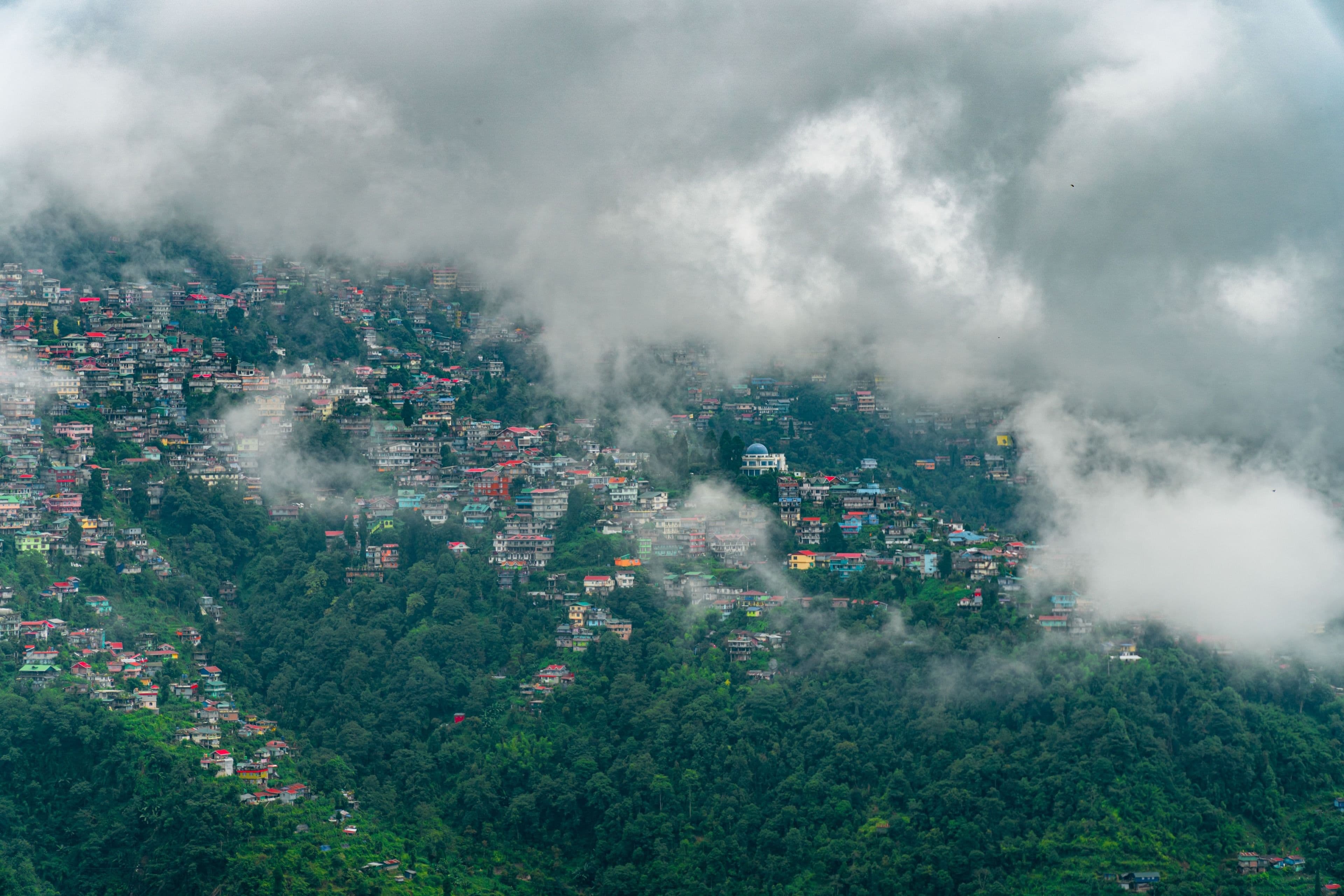 Misty Darjeeling hills