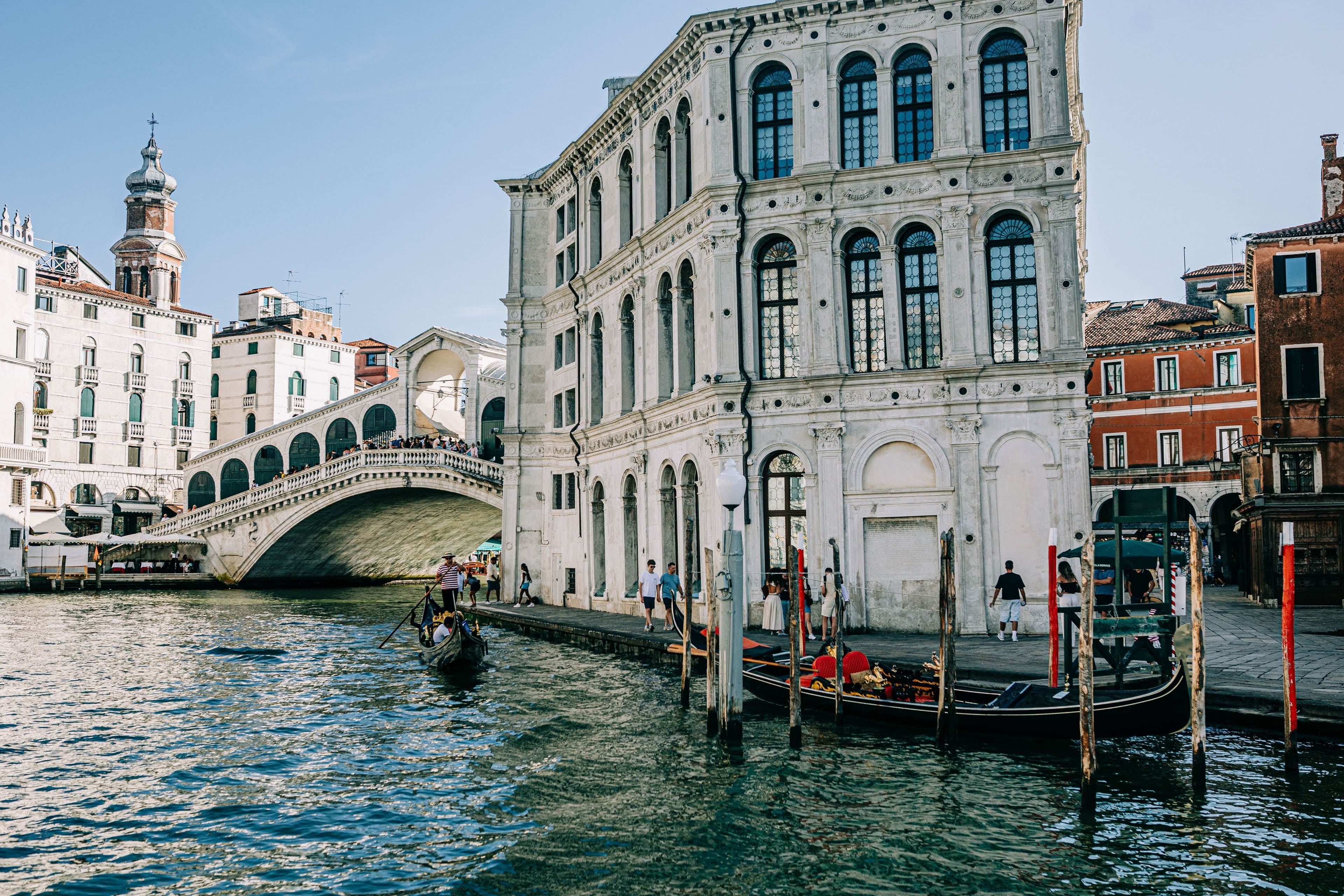 The Rialto Bridge and gondolas on the Grand Canal, Venice