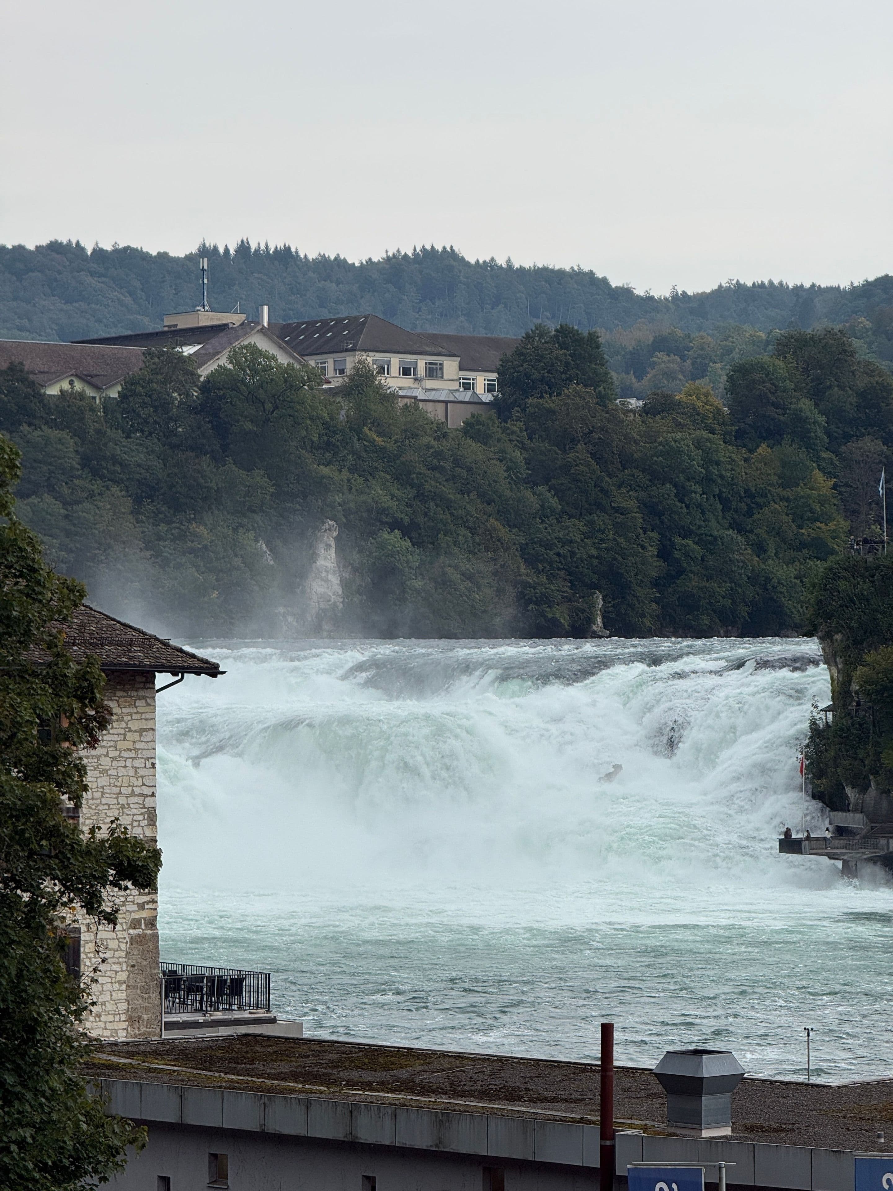 The Rhine Falls, Switzerland