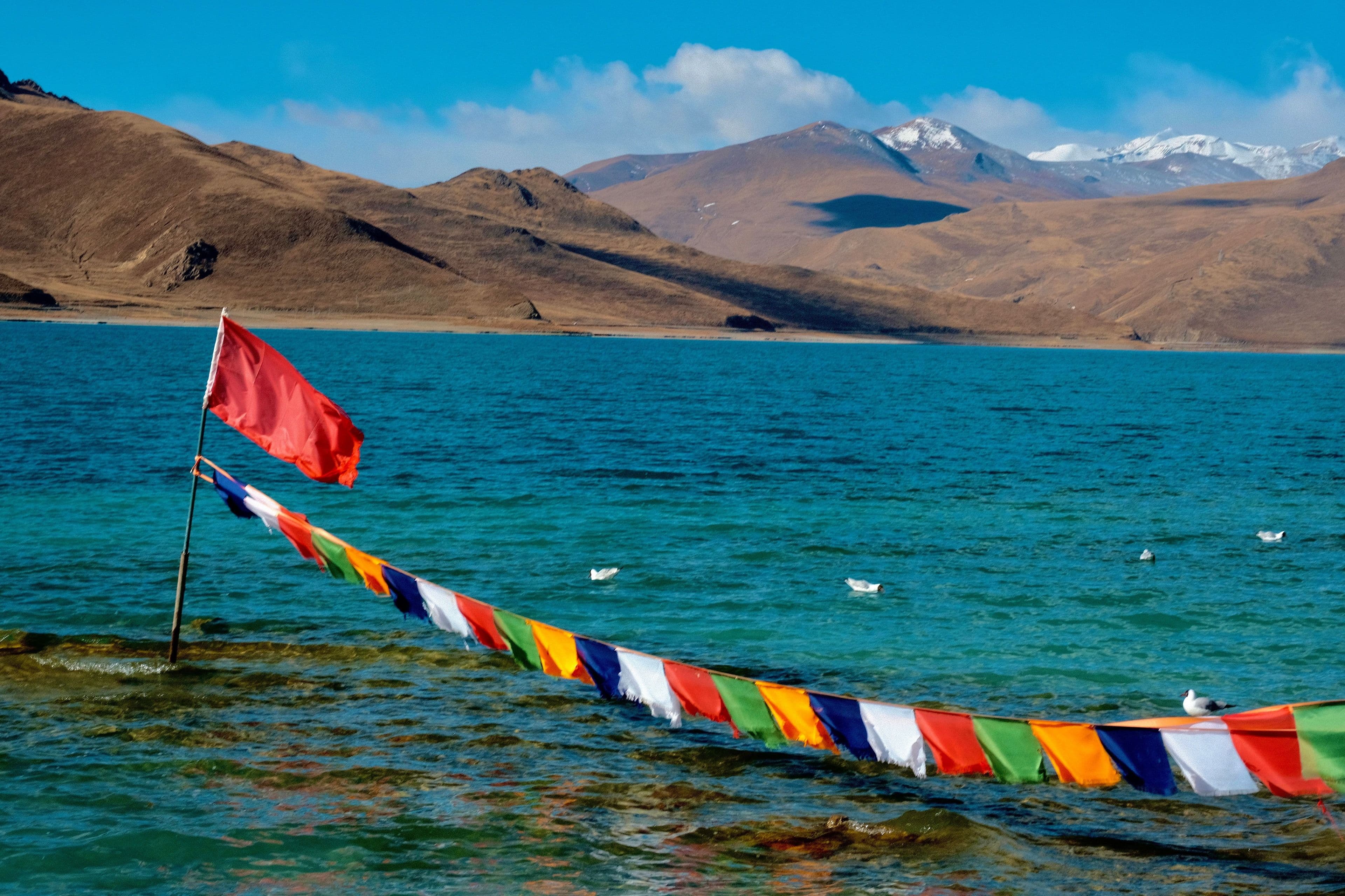 Prayer flags at the holy lake, Manasarovar