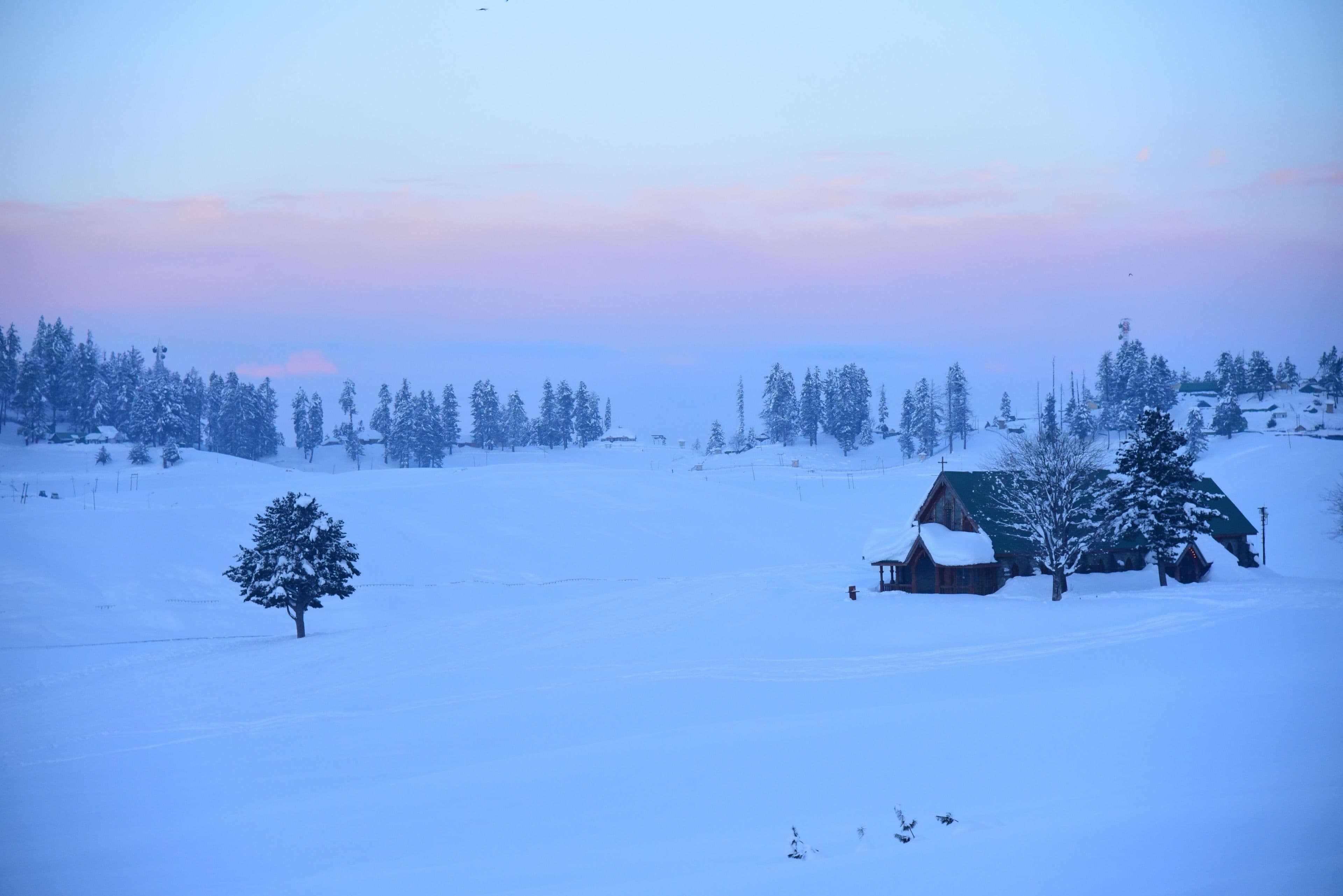 The snow meadows of Gulmarg