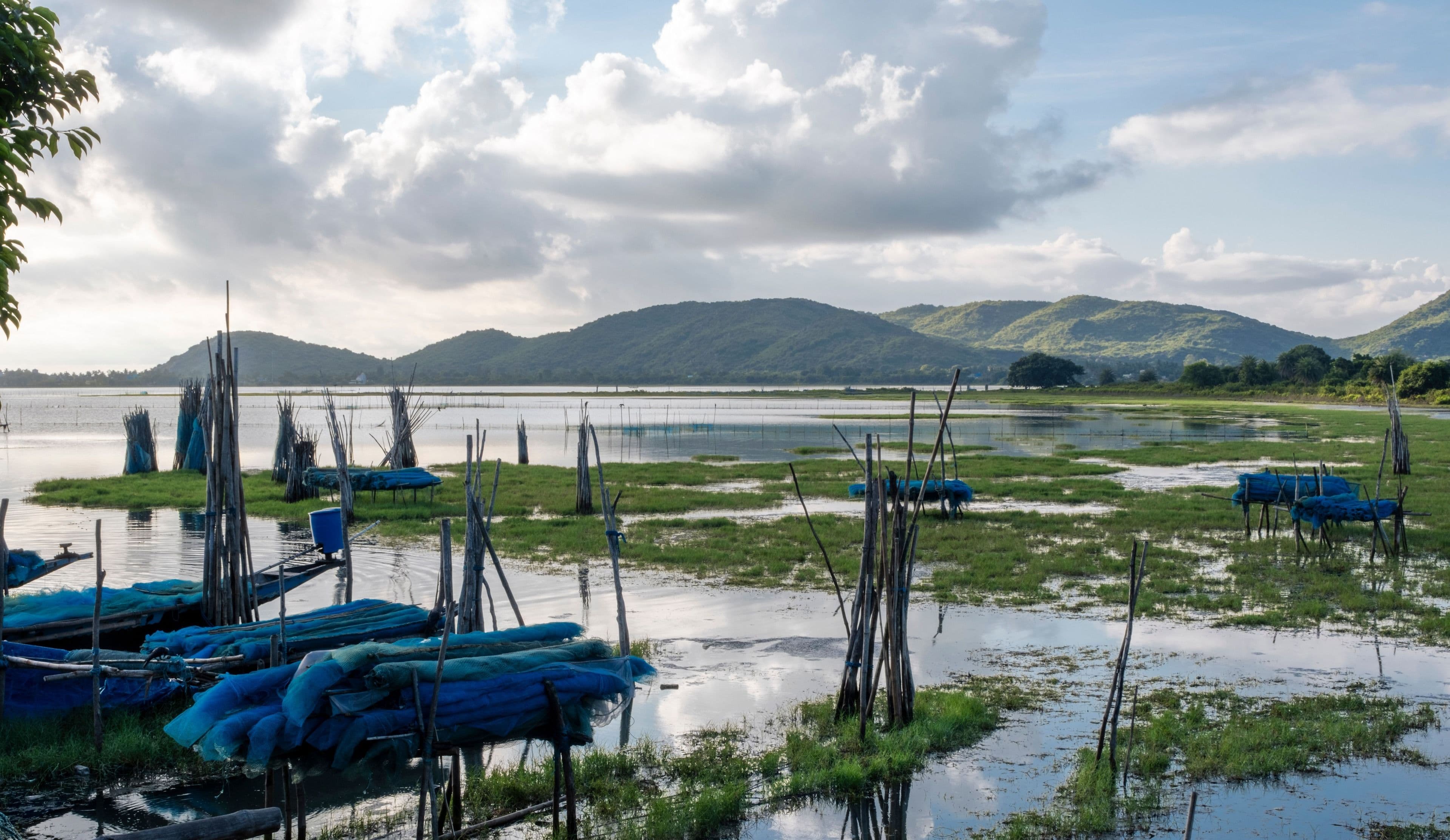 Chilika Lake lagoon, Odisha