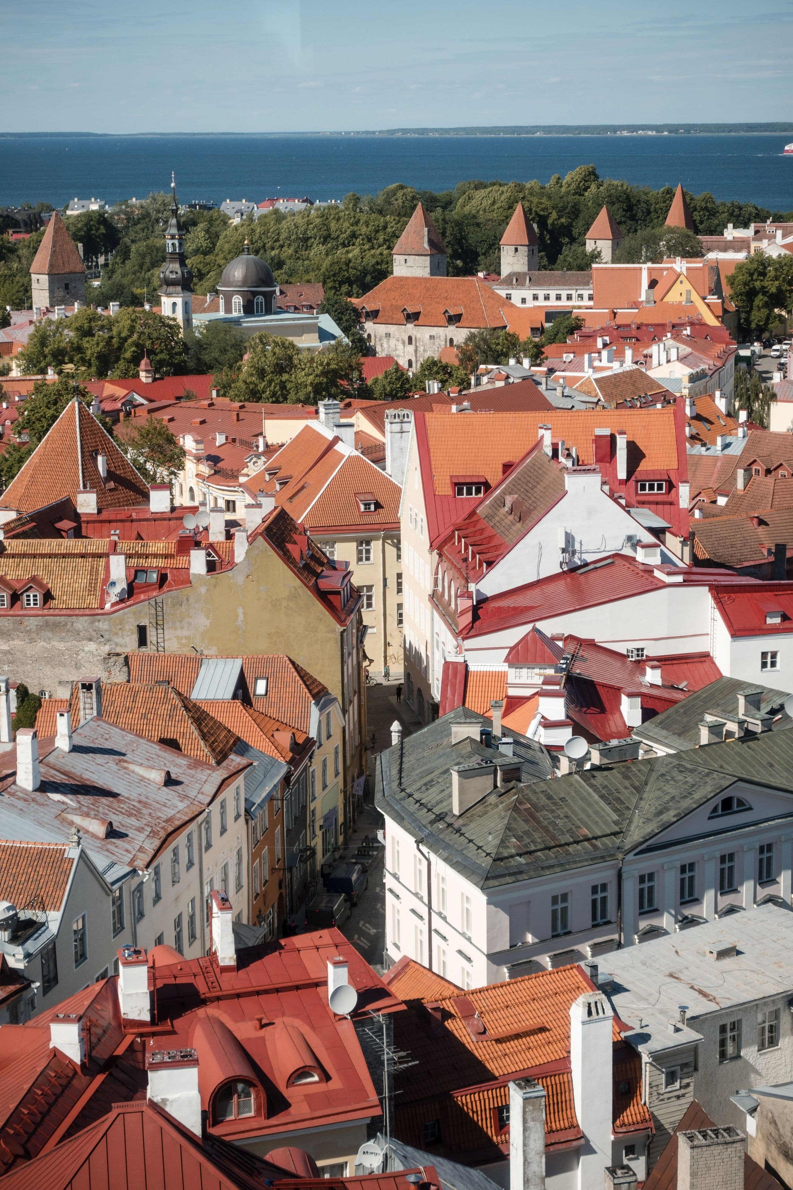 Red rooftops of Tallinn old town