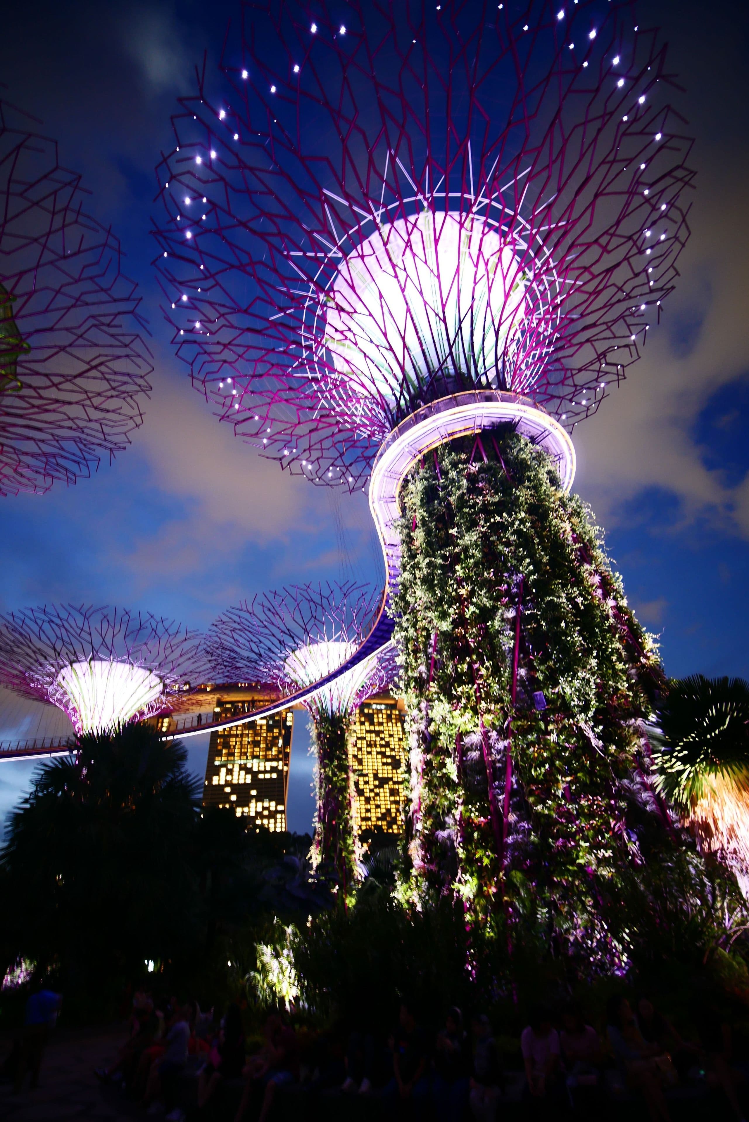 The Supertree Grove at Gardens by the Bay, Singapore