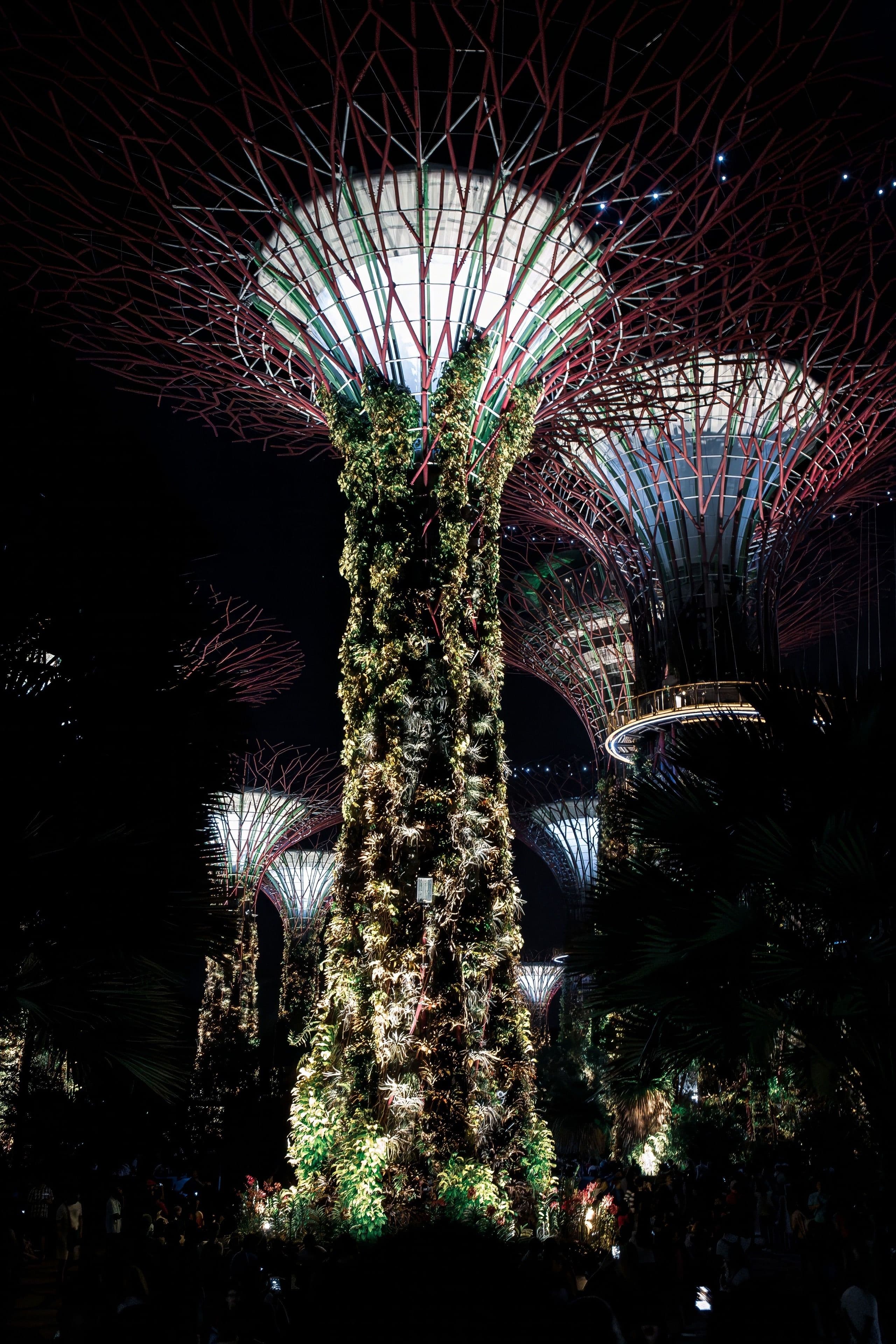 Gardens by the Bay at night, Singapore