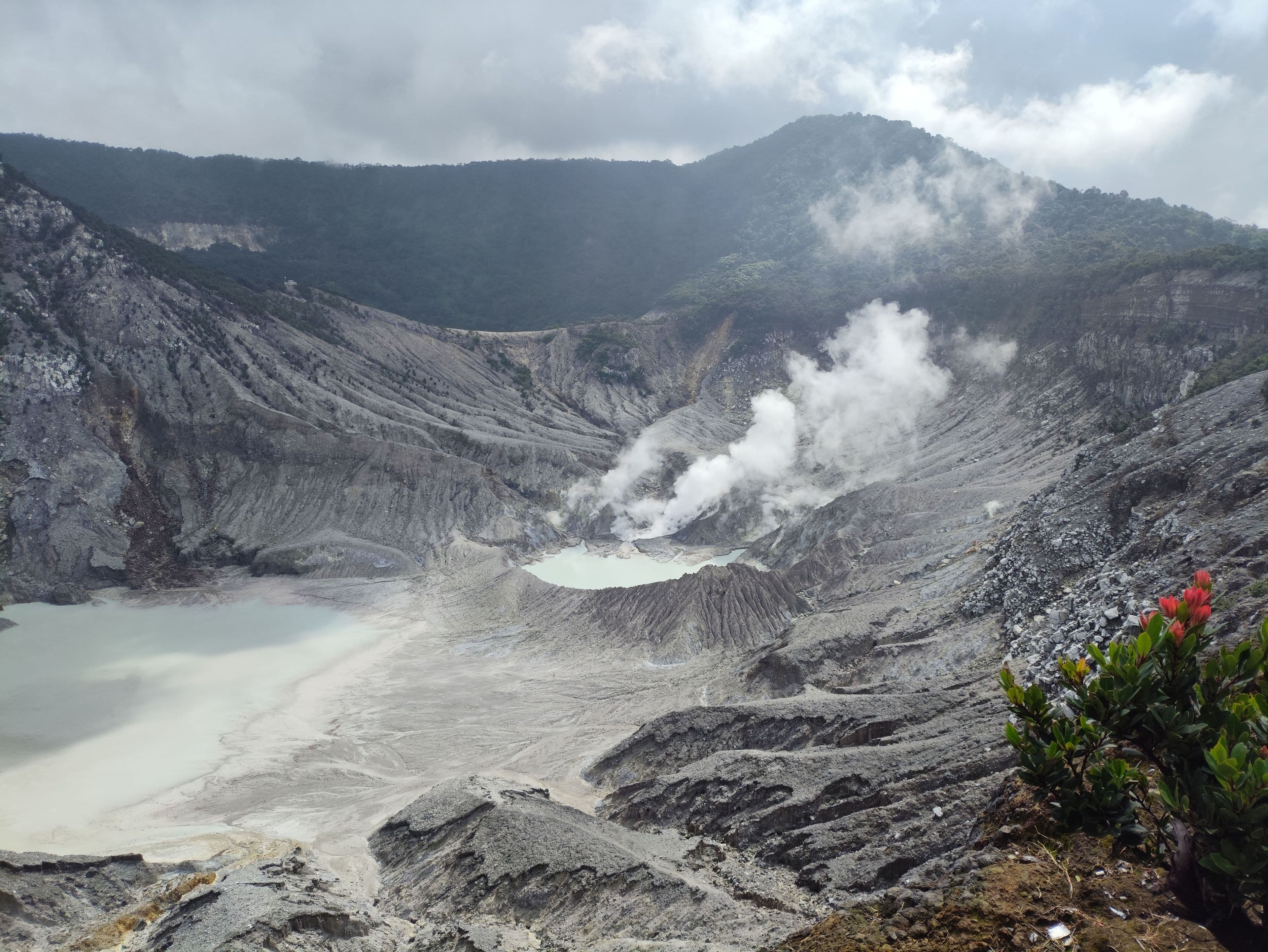 The drive-in volcano crater and steam vents, Sulphur Springs, St Lucia