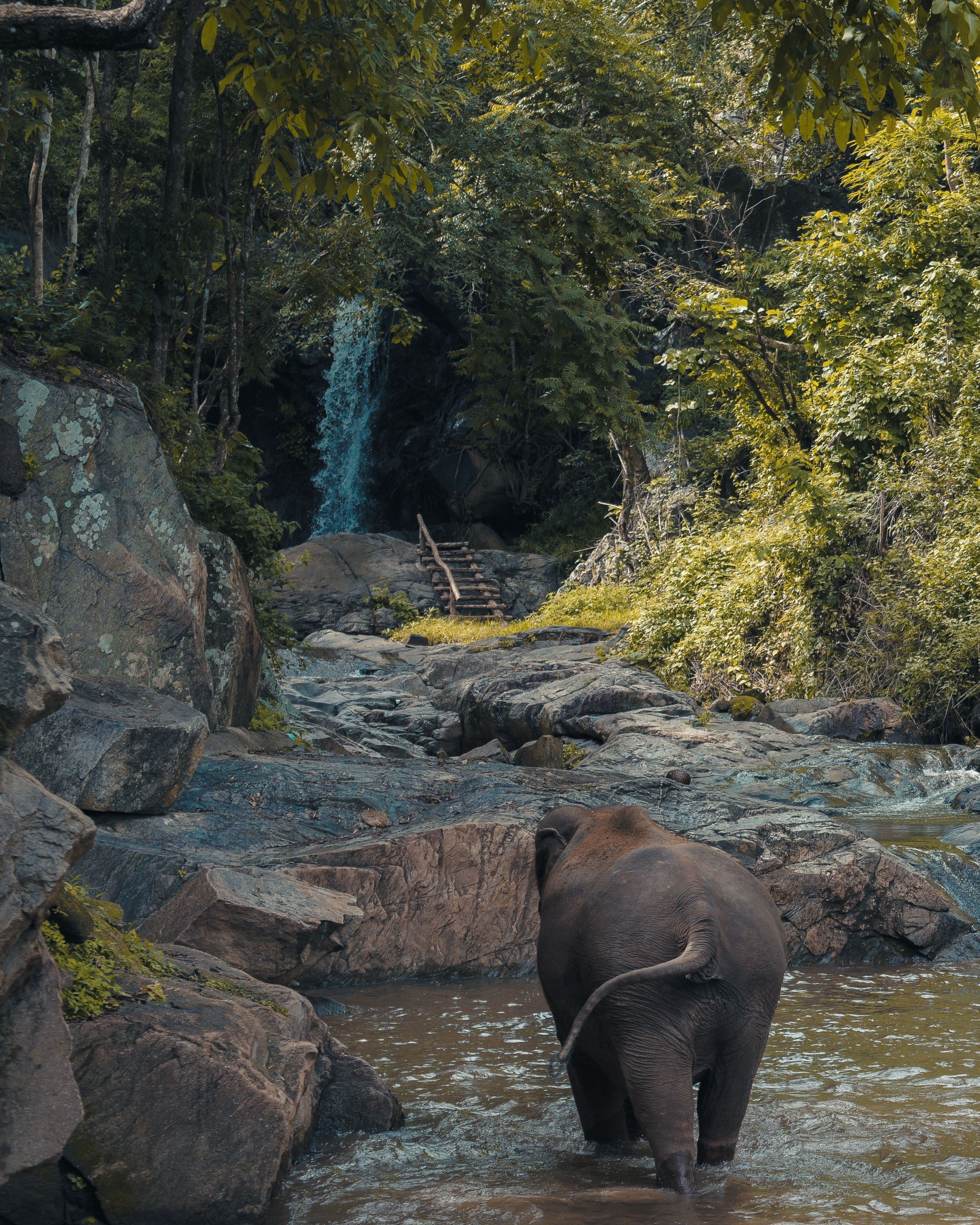Thekkady