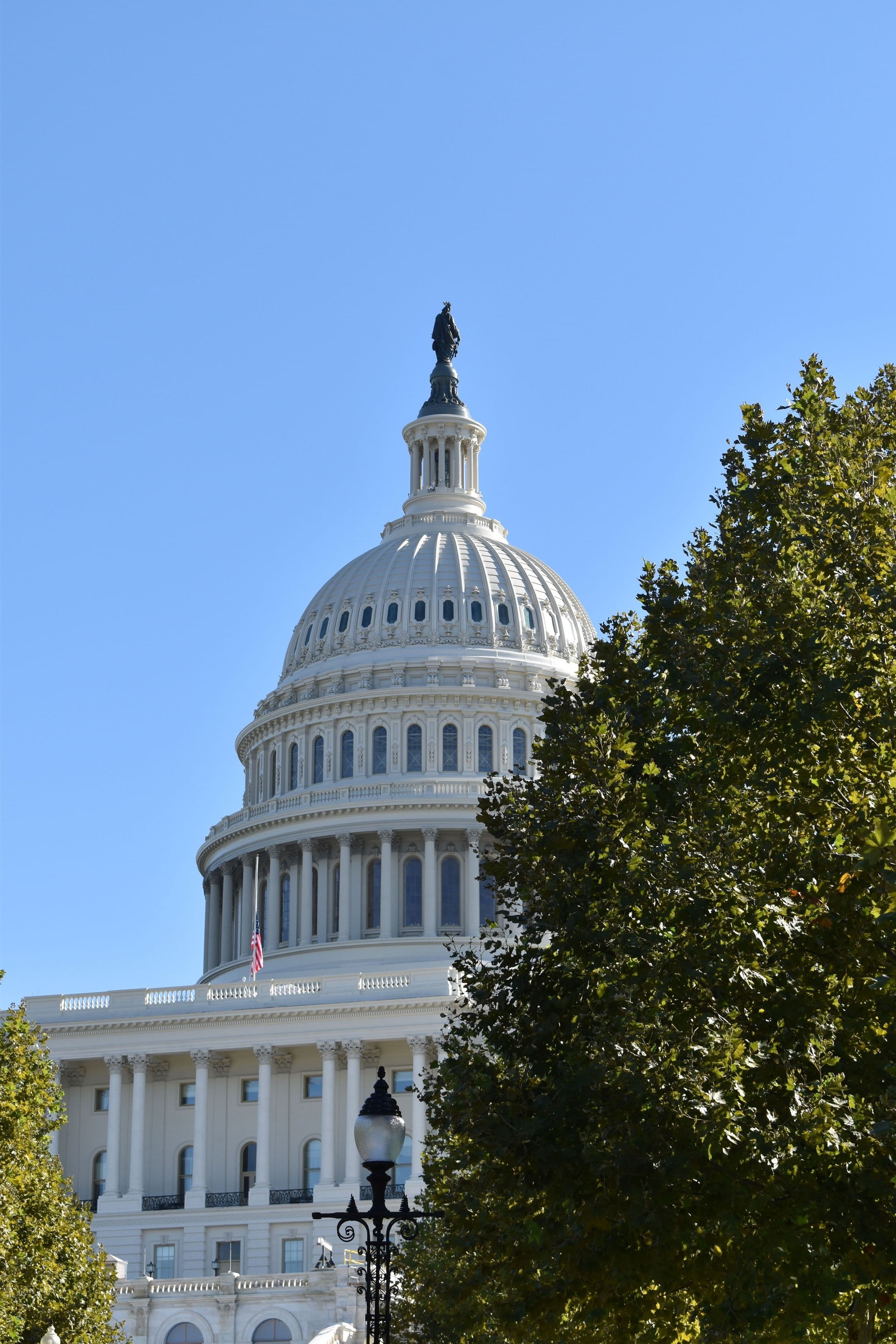 The United States Capitol, Washington DC